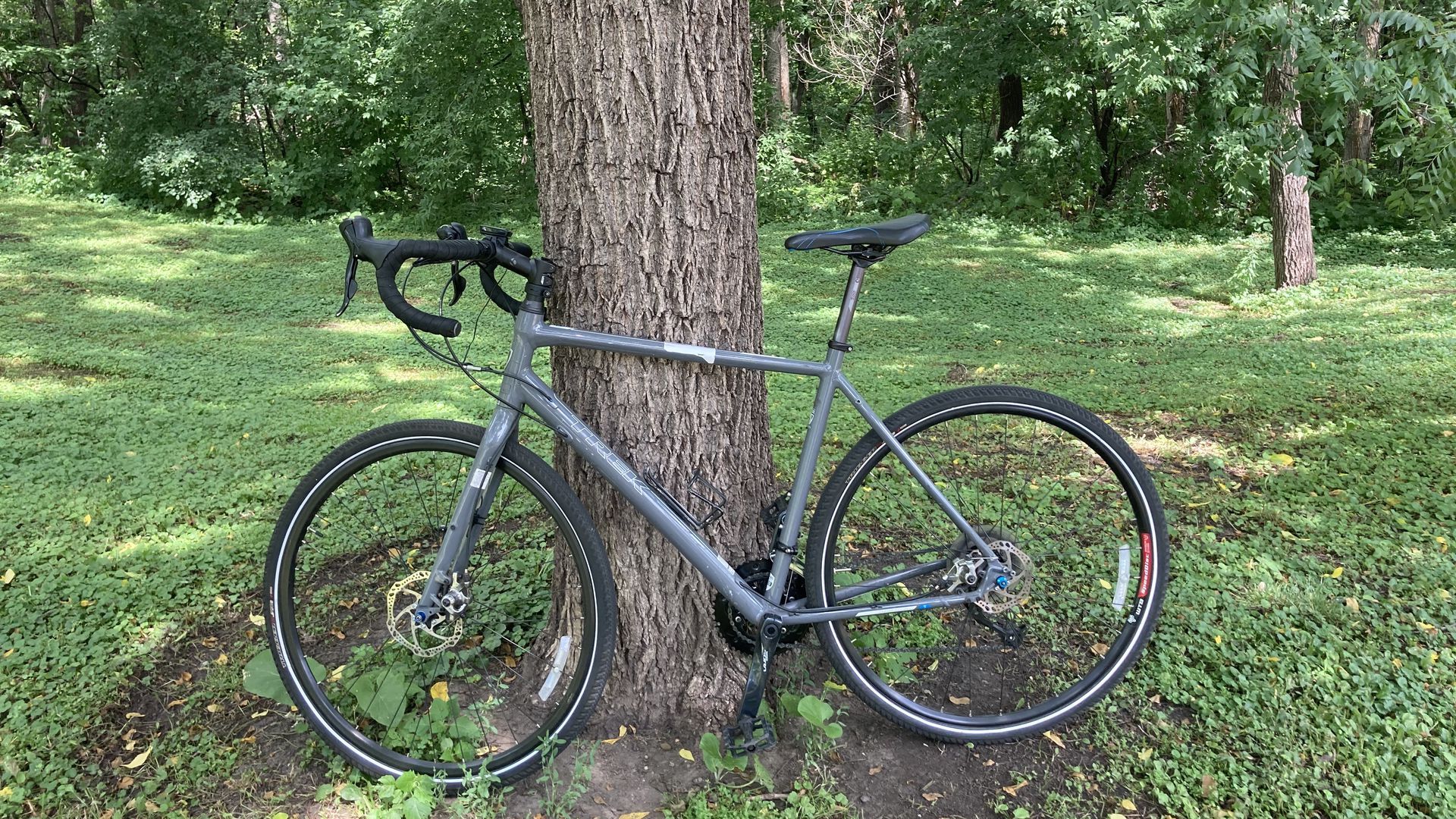 A photo of a gray bicycle rested against the trunk of a tree.