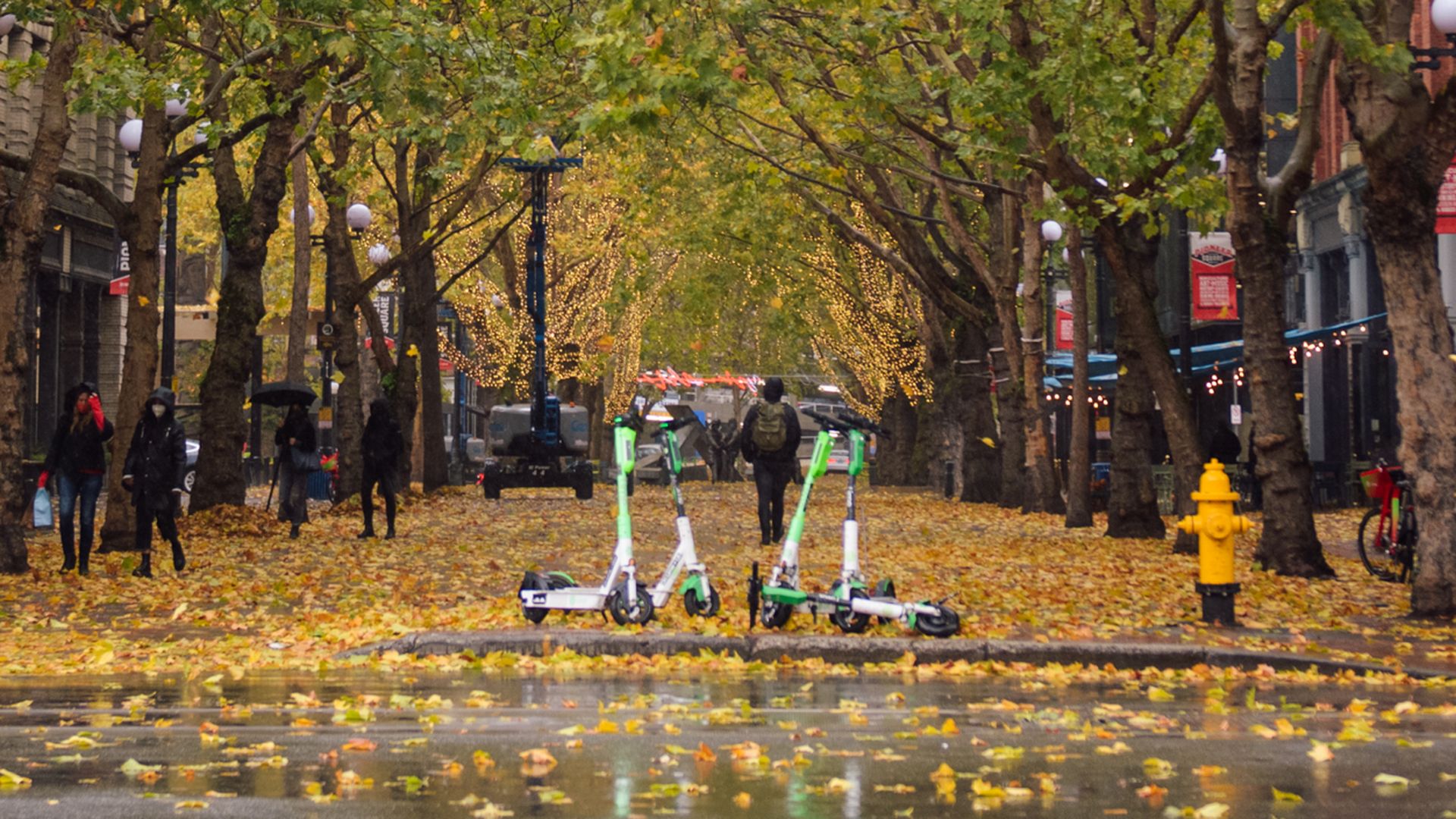 Autumn city street with a canopy of yellow-green trees, wet pavement, and fallen leaves. Pedestrians along the curb; two lime-green electric scooters in the center; red traffic light on the right.