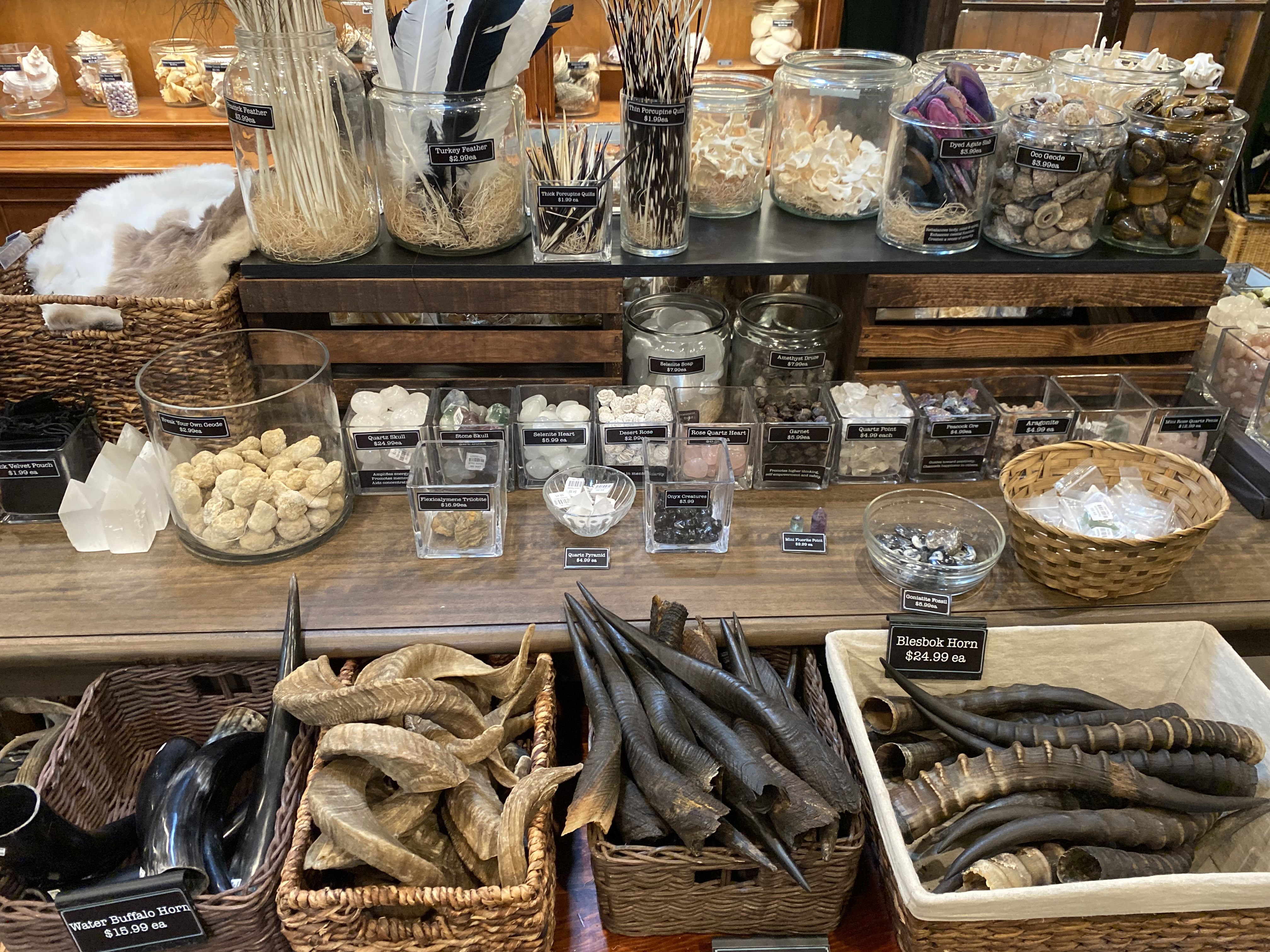 Baskets of animals horns and bowls of other animal products on a display table.