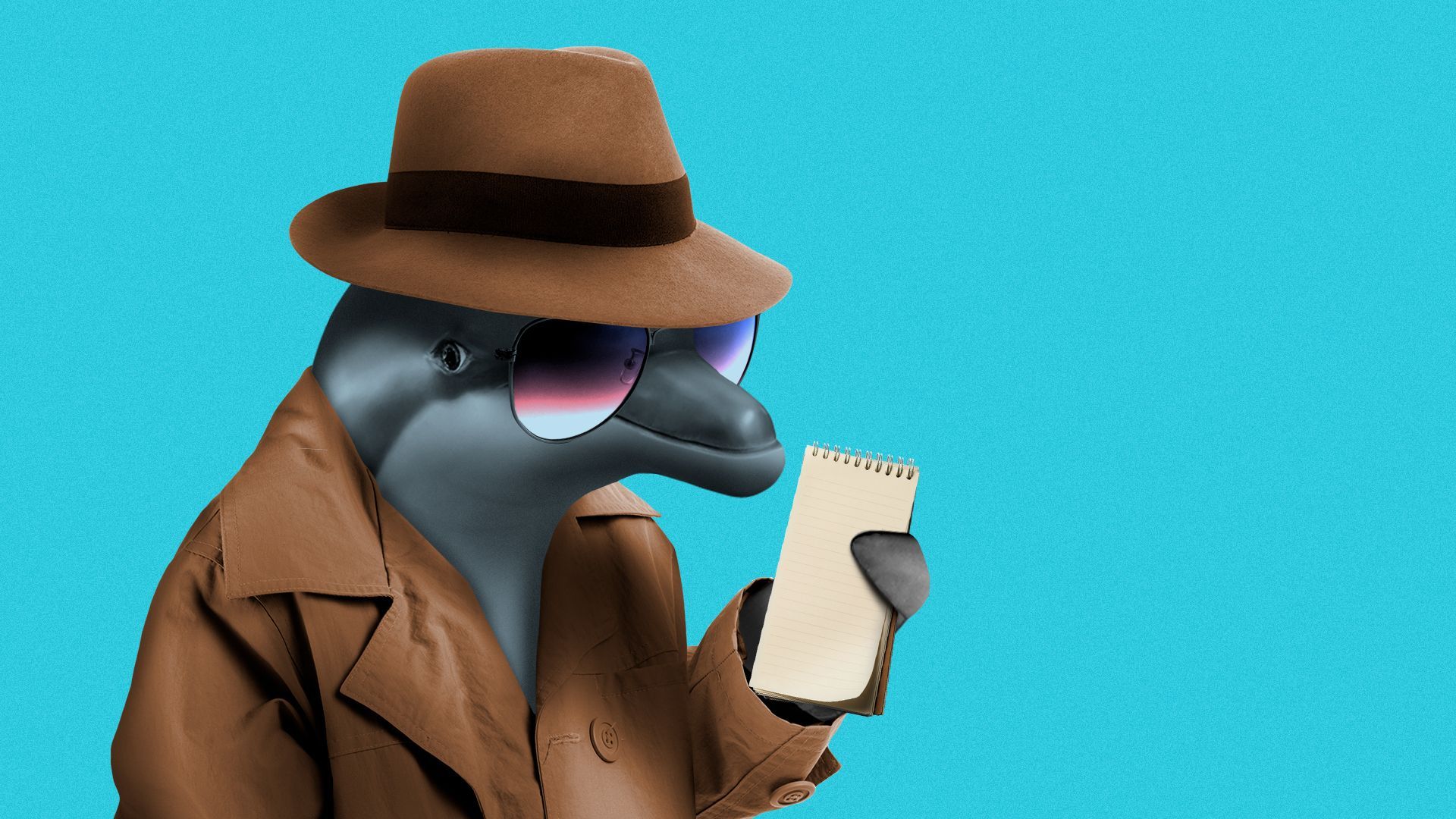 Illustration of a dolphin holding a notepad and wearing a detective's coat and fedora.