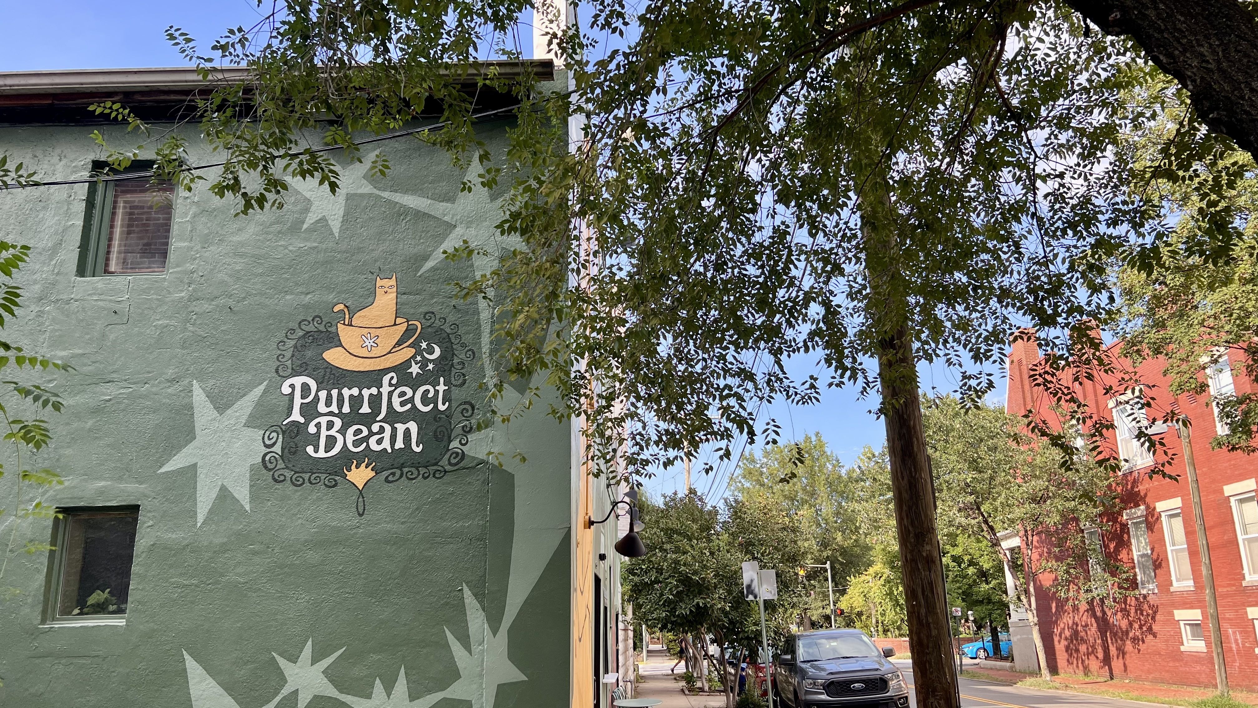 Green building wall with a mural of an orange cat in a teacup and the words "Purrfect Bean" in white, surrounded by star shapes, on a tree-lined street with red-brick buildings and parked cars.
