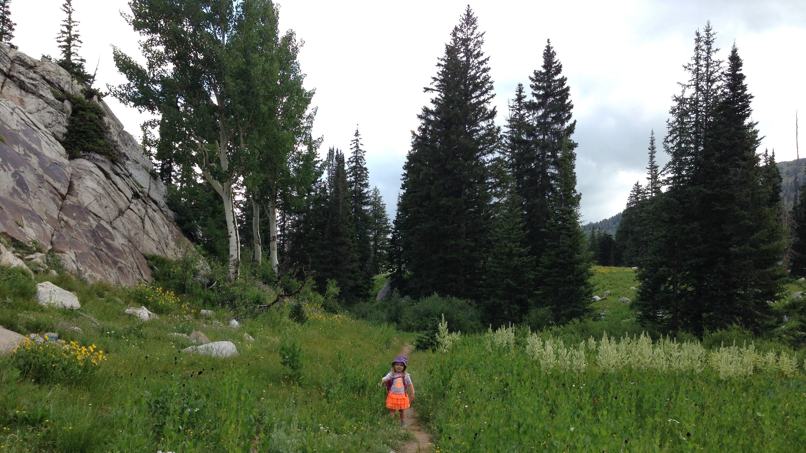 A child walks through a meadow of wildflowers near a cliff.