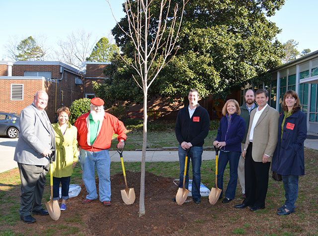Charlotte Tree Advisory