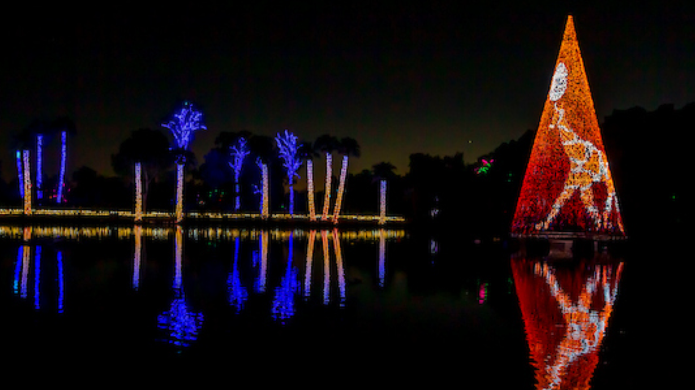 8 best Christmas light displays in Phoenix Axios Phoenix