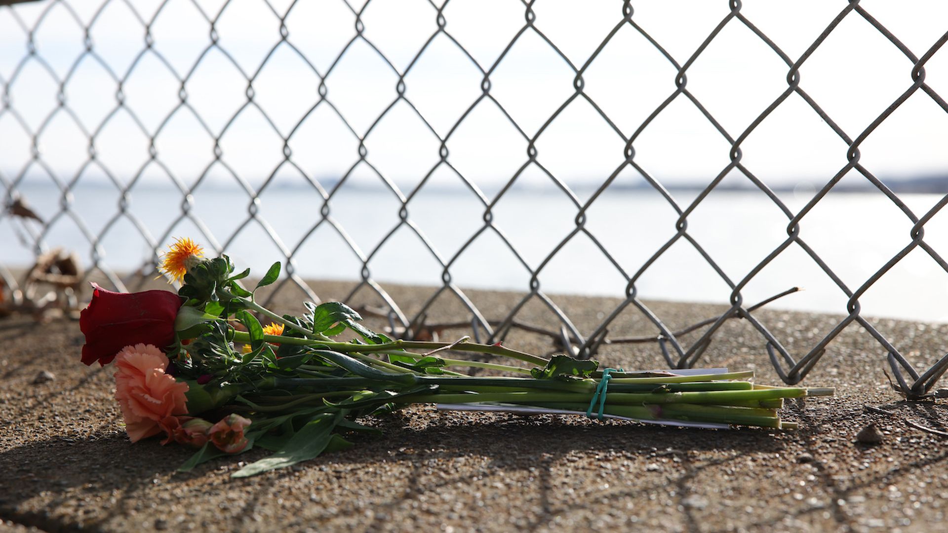 A bouquet of flowers sits on the banks of the Potomac River at East Potomac Park in Washington, D.C. on January 30, 2025, following the collision of American Airlines flight 5342 and a U.S. Army helicopter the night prior, leaving 67 people dead, in Washington DC, United States on January 30, 2025. 