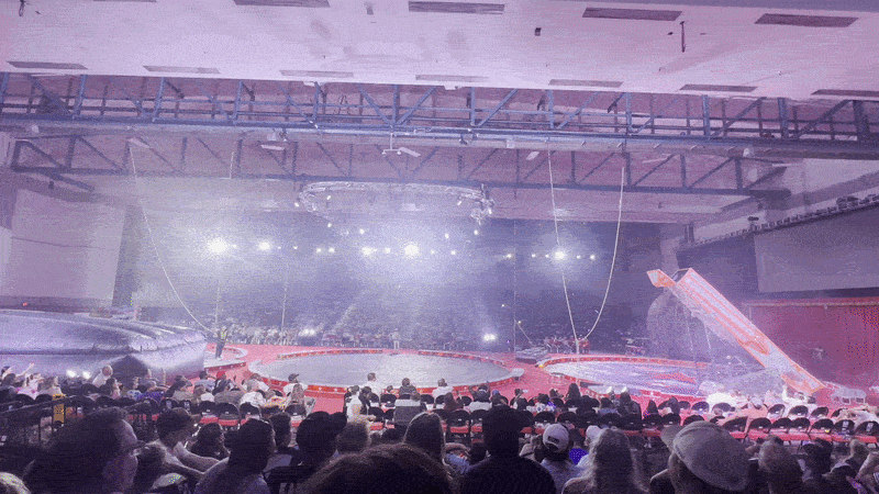 Image shows a person shooting out of a cannon and landing on a mat.