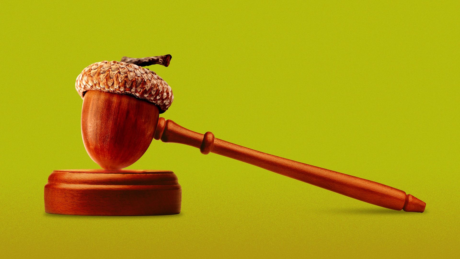 Illustration of a gavel made out of an acorn.