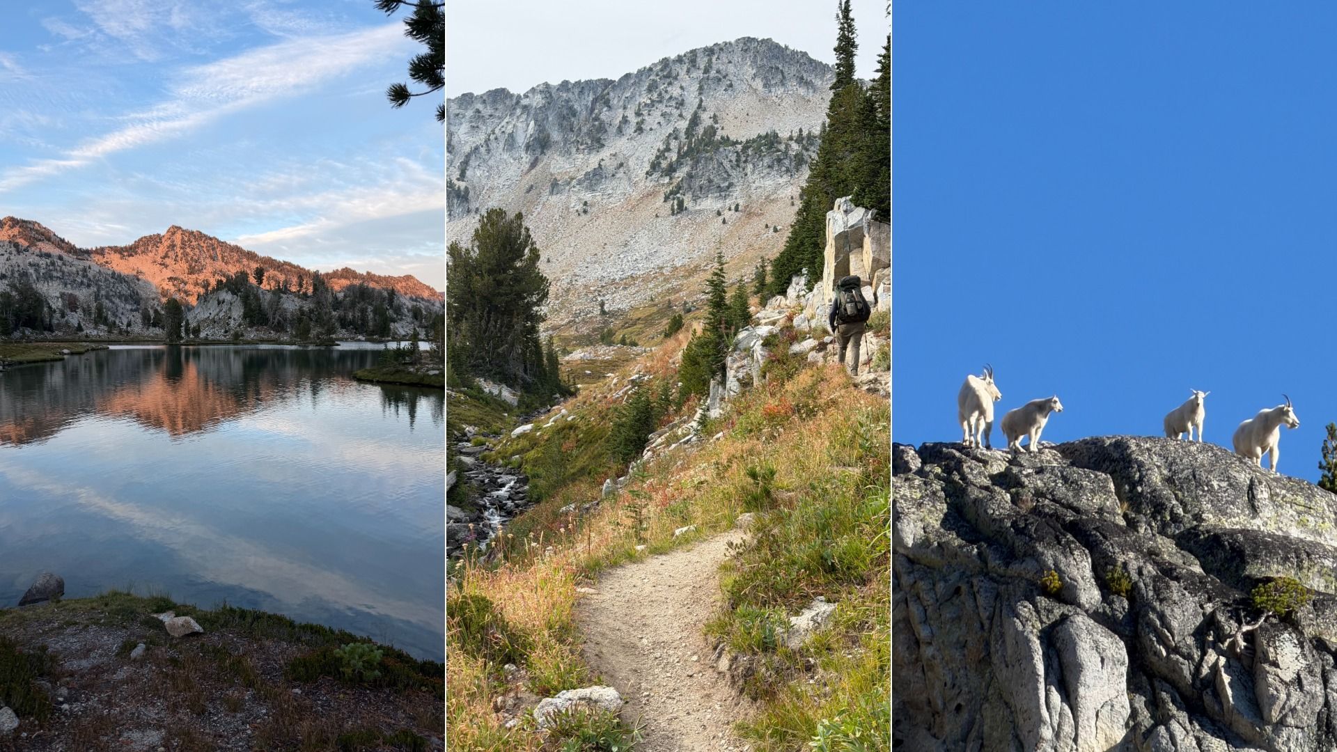 Triptych of alpine scenes: left a sunset-lit lake reflecting pink mountains; center a hiker on a rocky trail among pines; right white goats on jagged rocks against a blue sky.