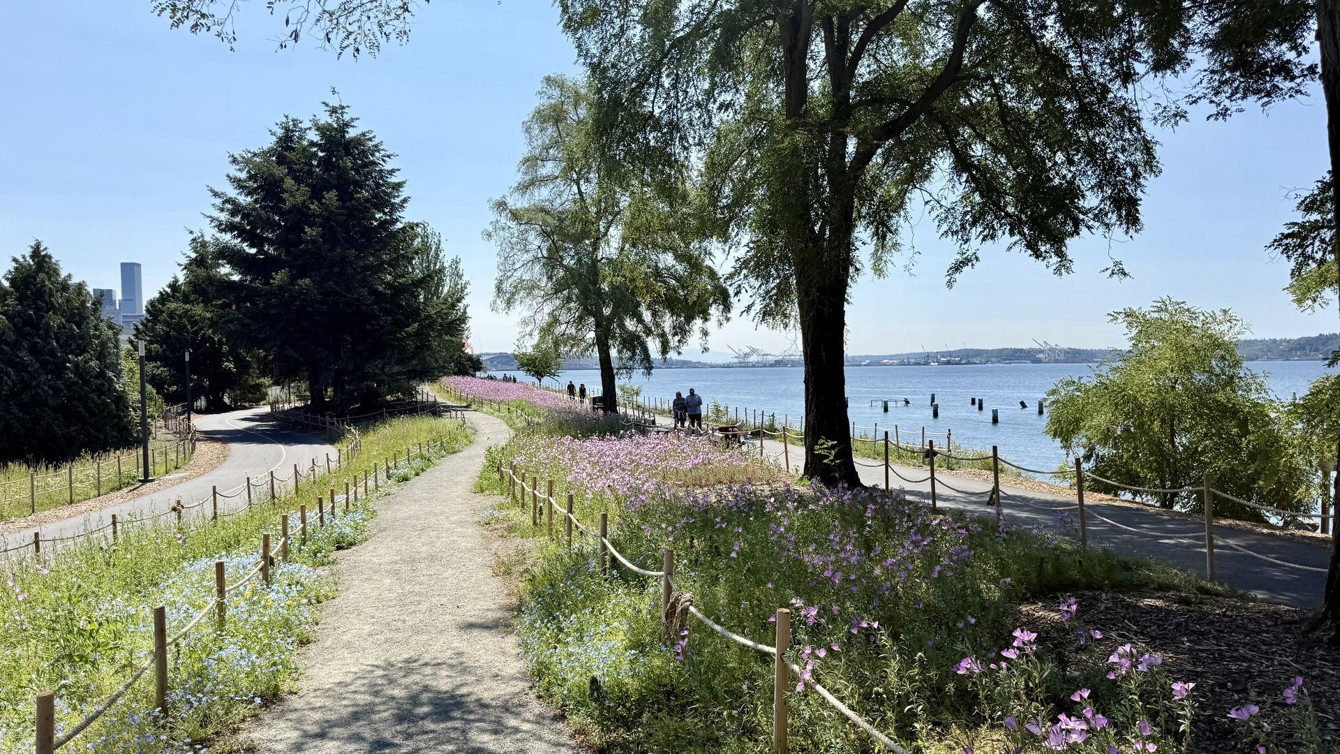 Sunny riverside park with a winding gravel path, rope fences, and colorful wildflowers along the sides. Large trees arch overhead; blue water and distant city skyline on the left.