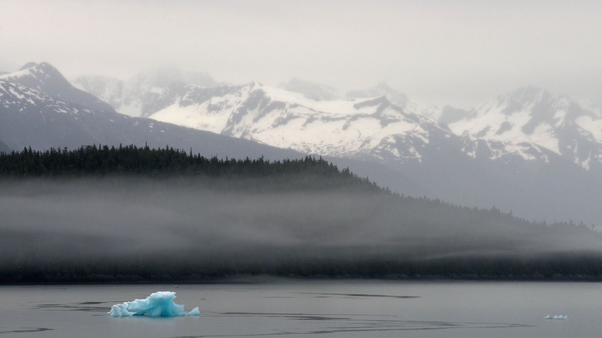A view of Tongass National Forest in Alaska in June 2016.