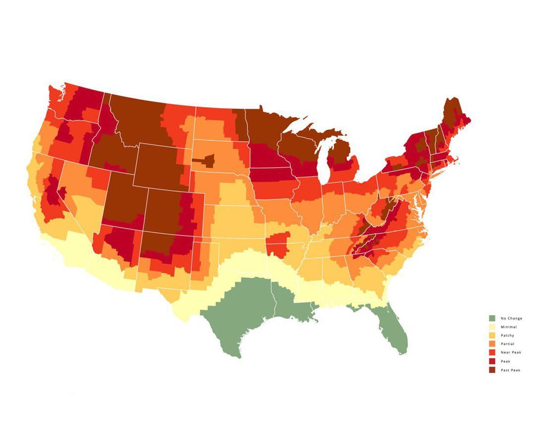 The best times to see fall foliage across Arkansas Axios NW Arkansas