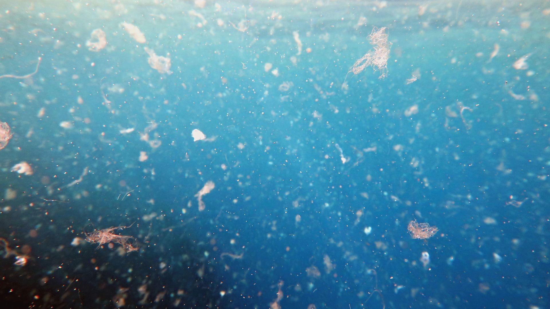 Microplastic in the ocean