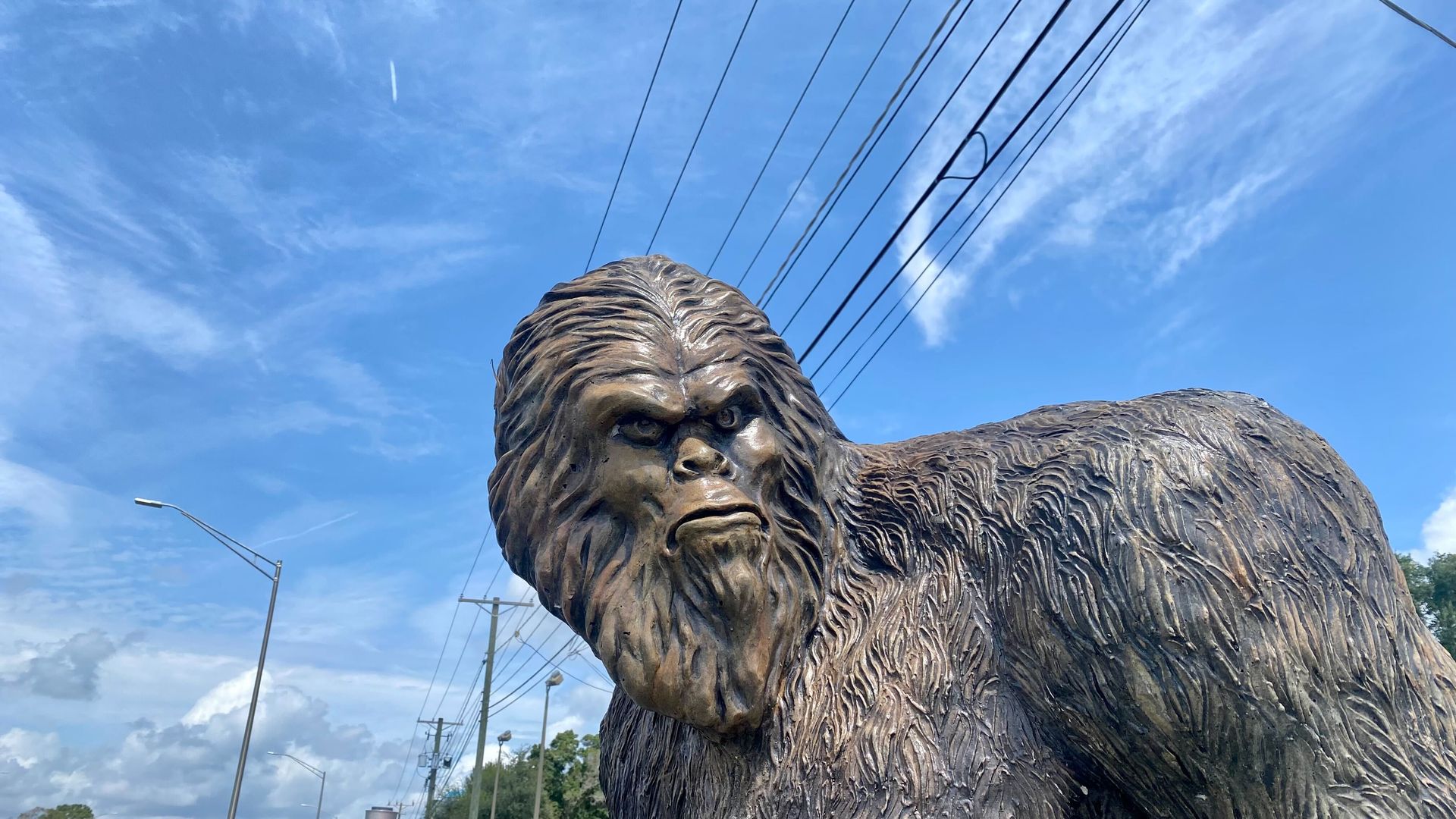 The upper torso of a statue depicting a sasquatch-like creature.