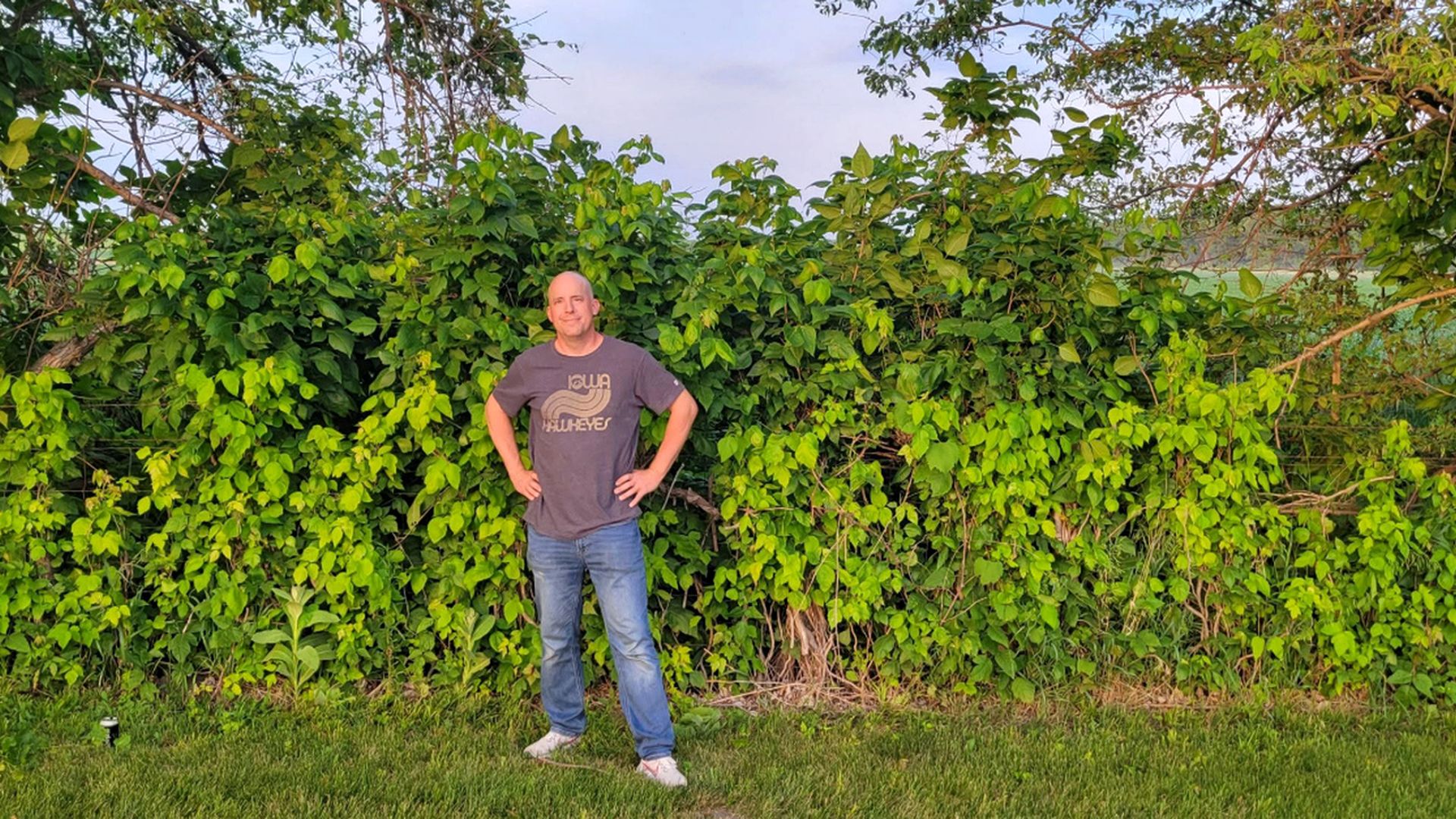Man standing with hands on hips in front of a lush green hedge outdoors. He wears a dark gray t-shirt with a graphic, blue jeans, and white sneakers; grass and a sunny sky backdrop.