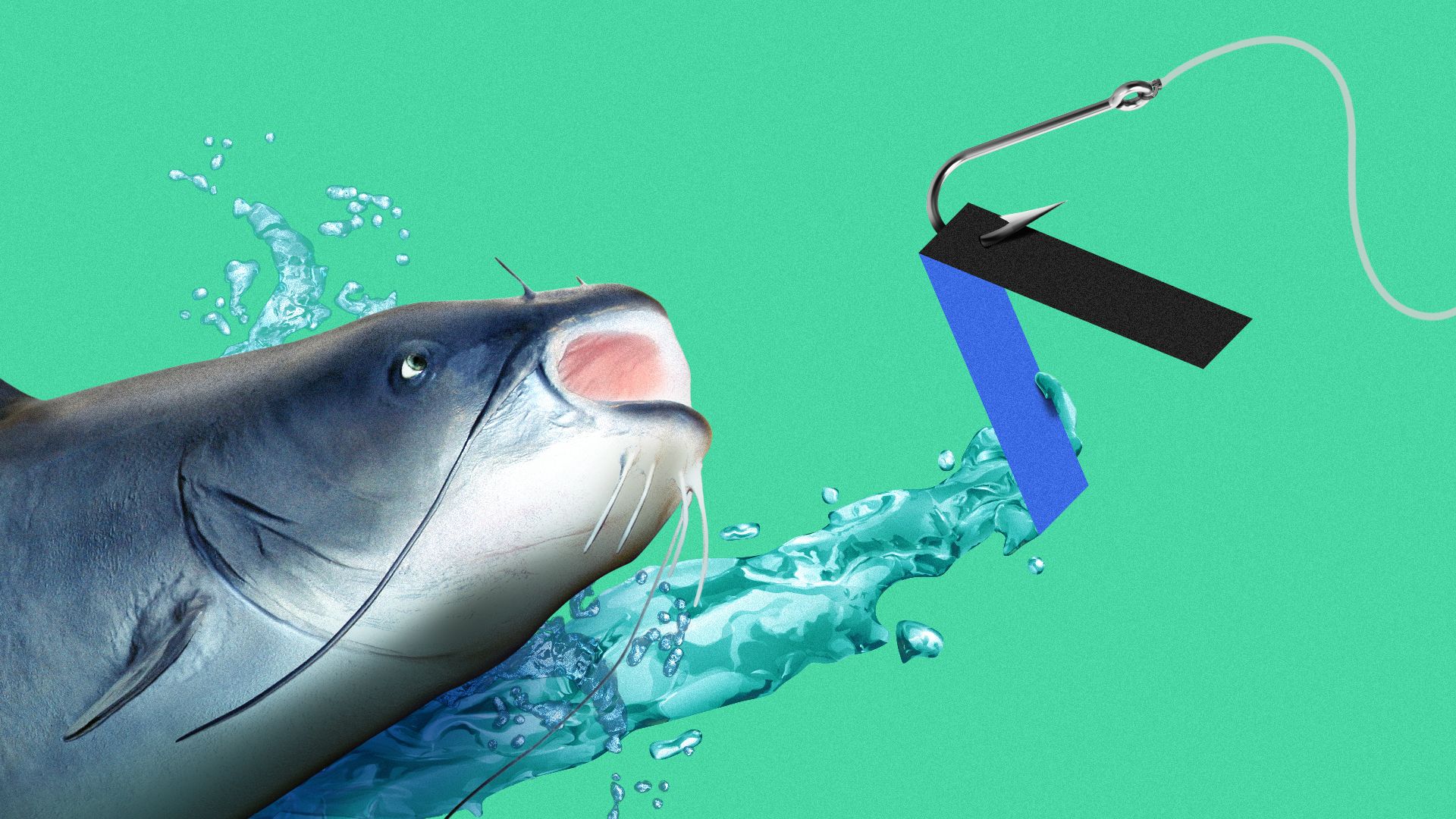 Illustration of a catfish chasing the Axios logo on a fish hook.