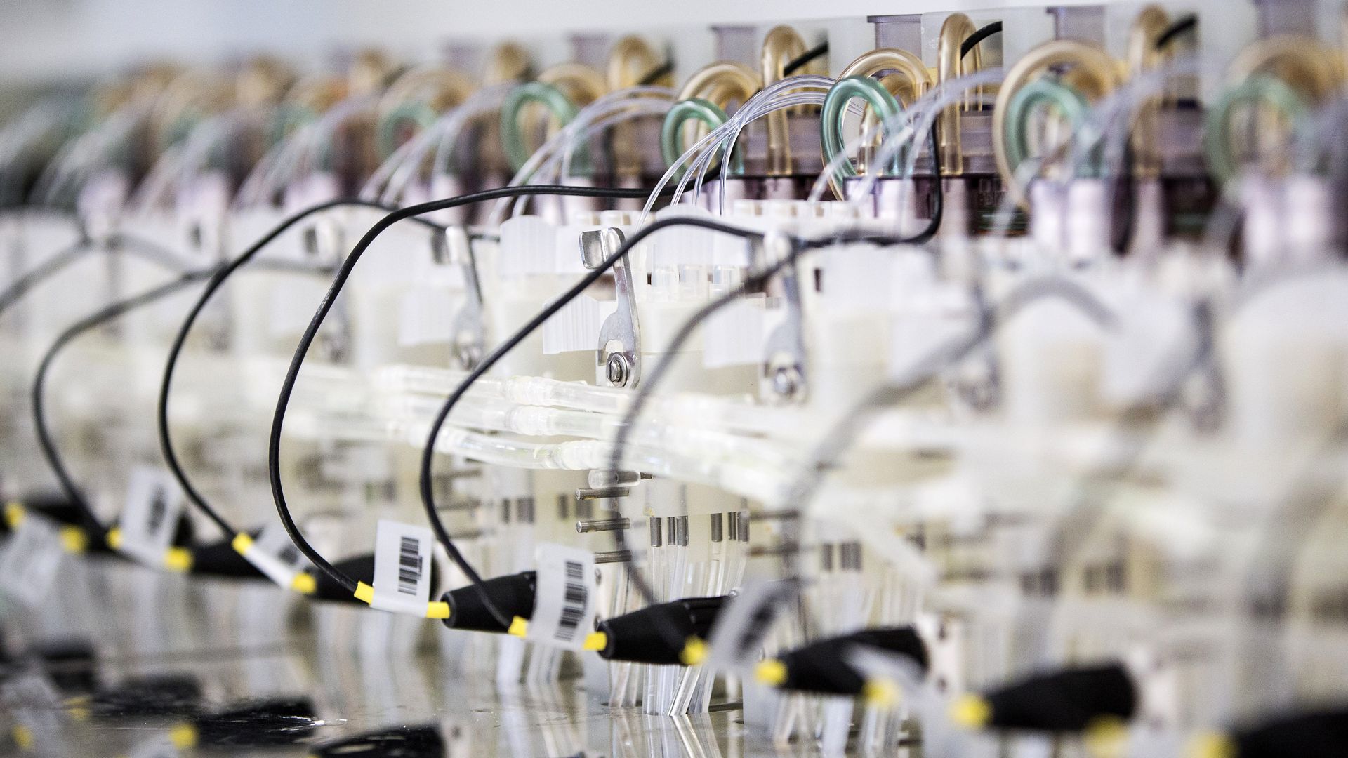 Ginkgo bioworks fermenting machines