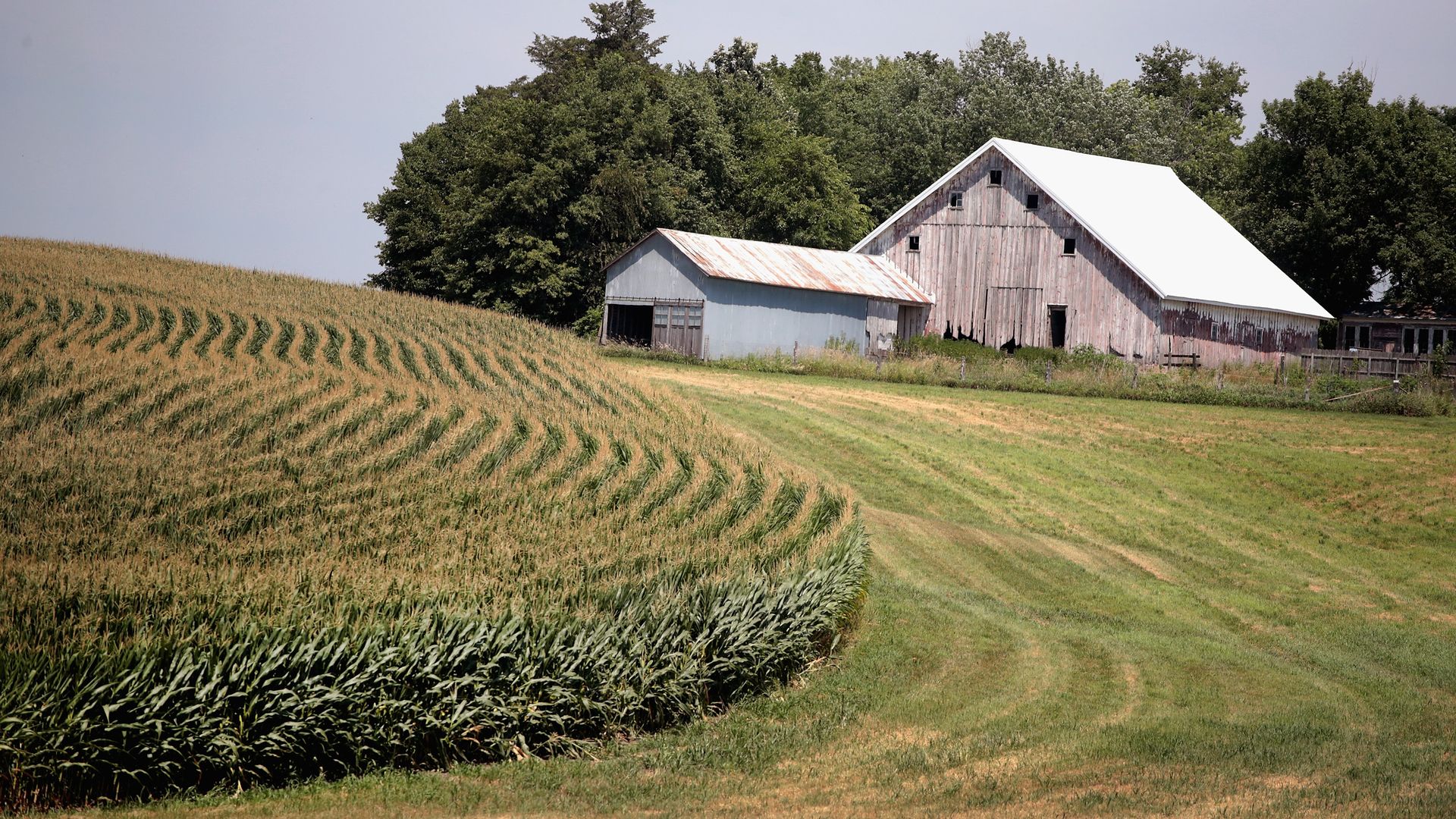 A small family farm in Iowa