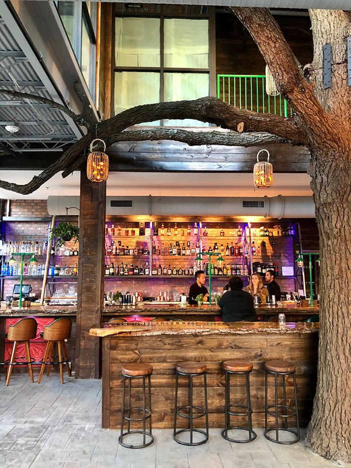 Everything you need to know about Charlotte Beer Garden Axios Charlotte