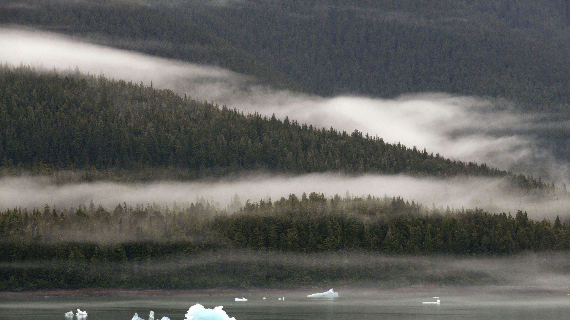 Tongass National Forest