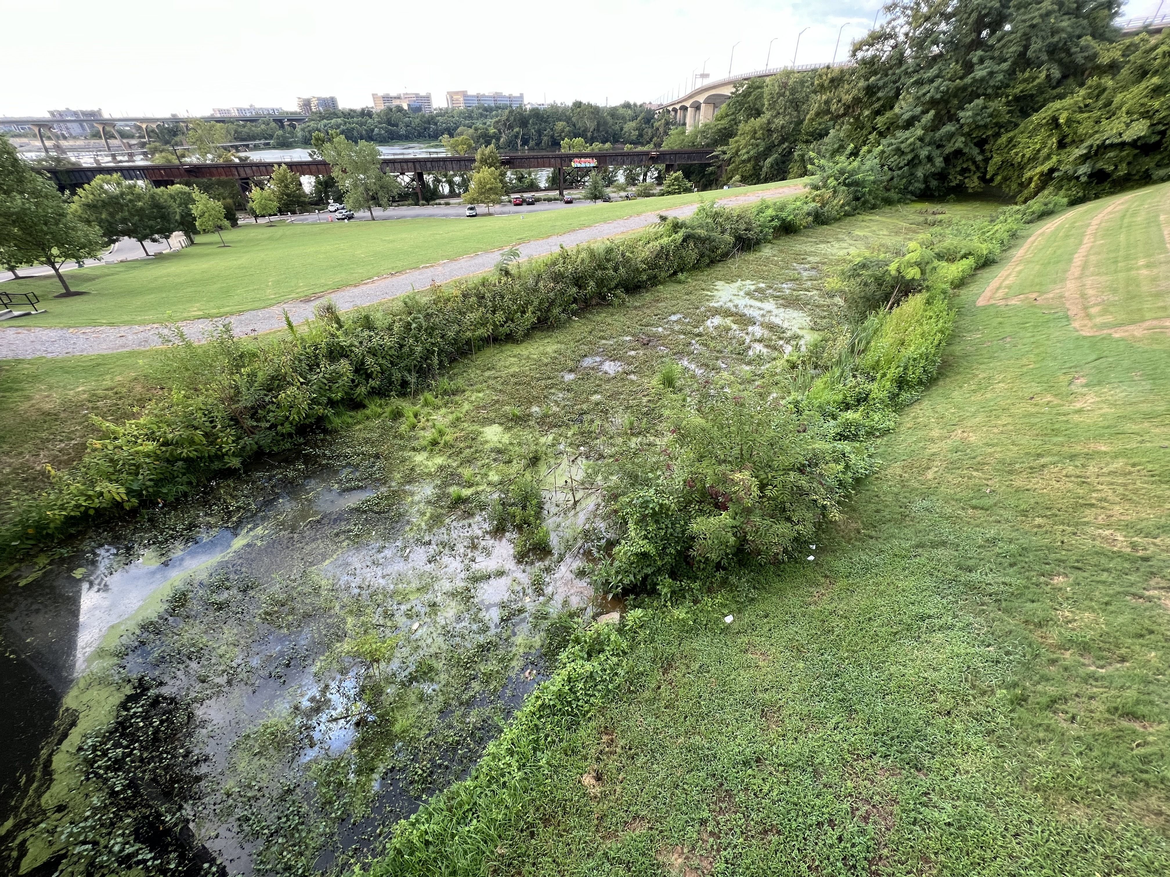 A photo of a canal bed mostly empty of water and filled with weeds.