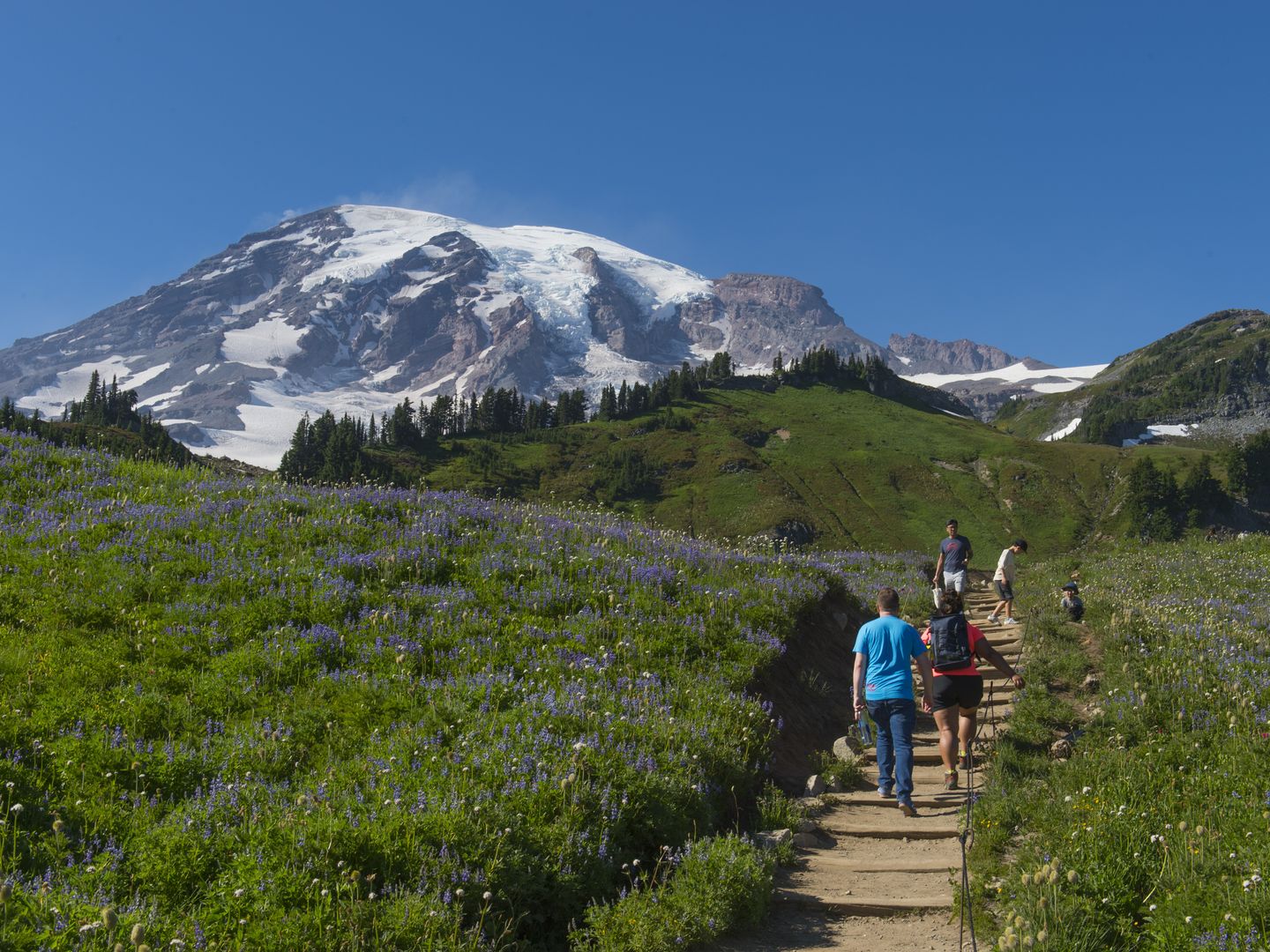 Mount Rainier National Park