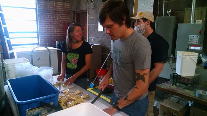 slicing-fresh-ginger
