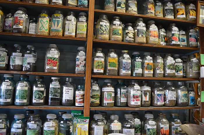 jars-of-seeds-renfrow-hardware