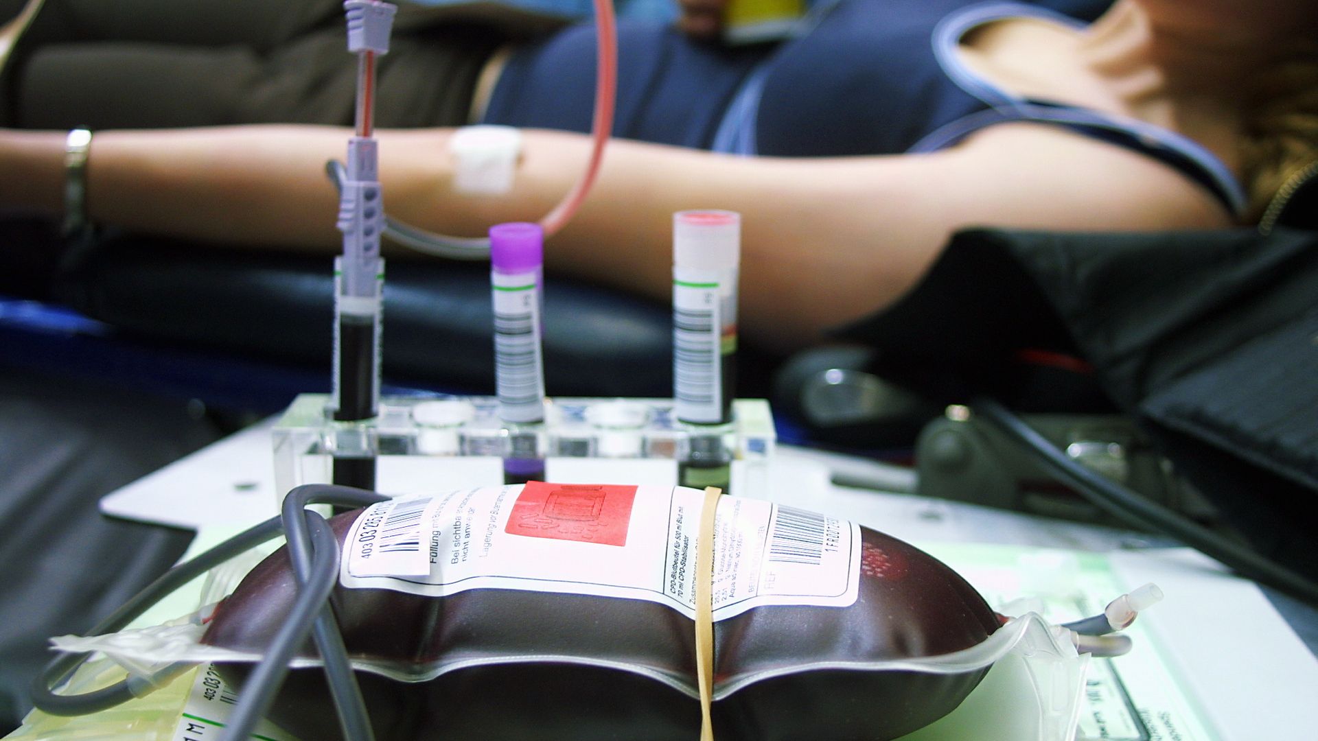 World record attempt for blood donation at the Westfalenhalle in Dortmund. The previous US record (3,539 donors / 3,155 units of blood)—set on April 7, 1999, in Columbia, Missouri—was surpassed with a total of 3,953 donors successfully having blood drawn.
