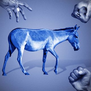 Democrats fume about their old age "liability problem"