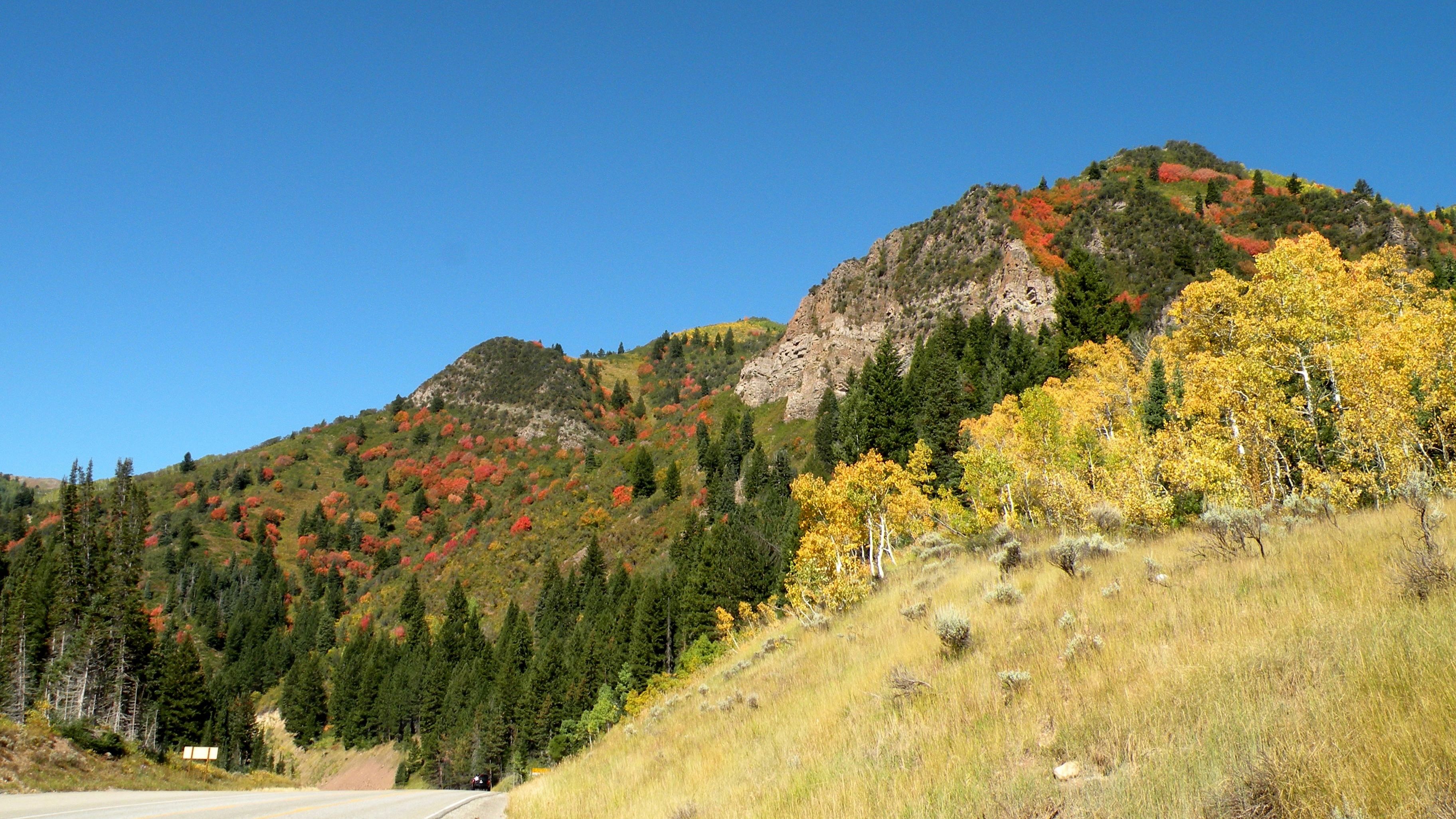 A road in the mountains with colorful fall leaves