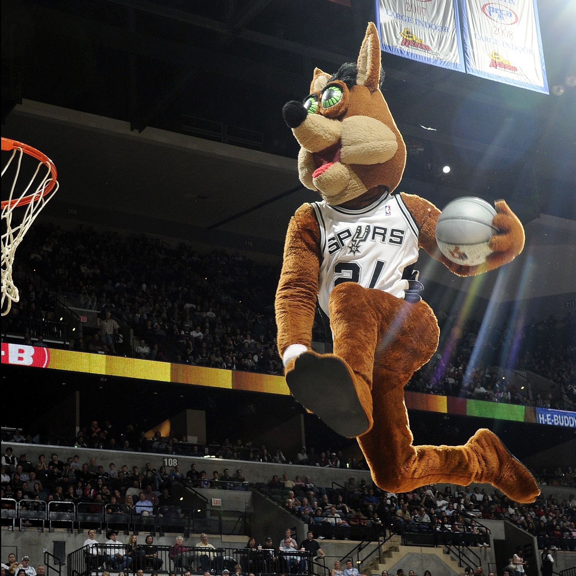The Coyote, official mascot, San Antonio Spurs art, NBA, USA