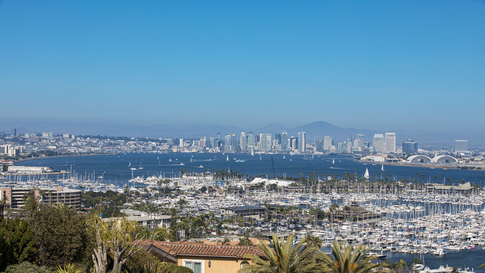 Boats sit in the San Diego Bay with the water, city skyline and mountains in the background and palm trees in the foregraound.