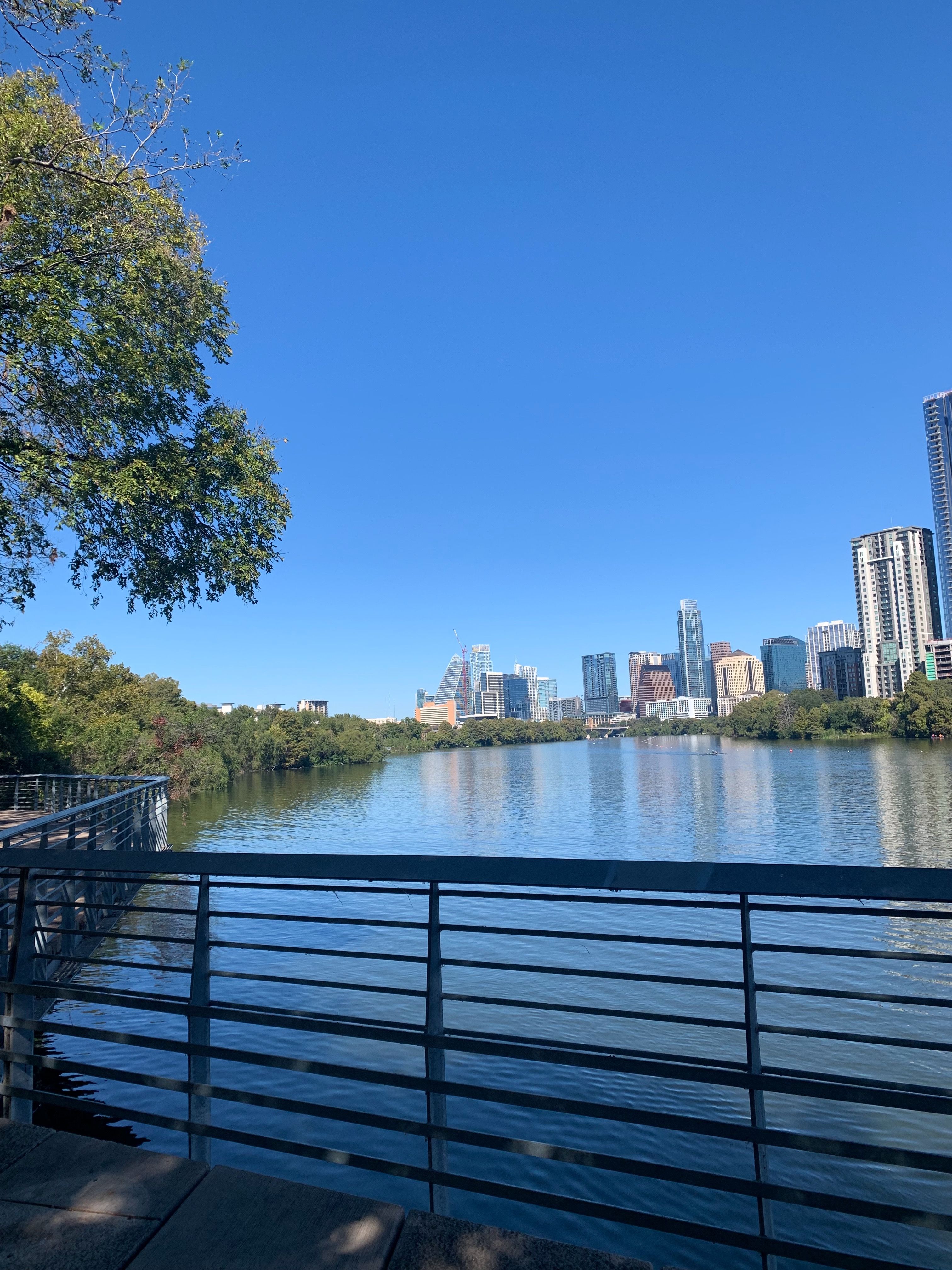 A view of Lady Bird Lake from a walking path