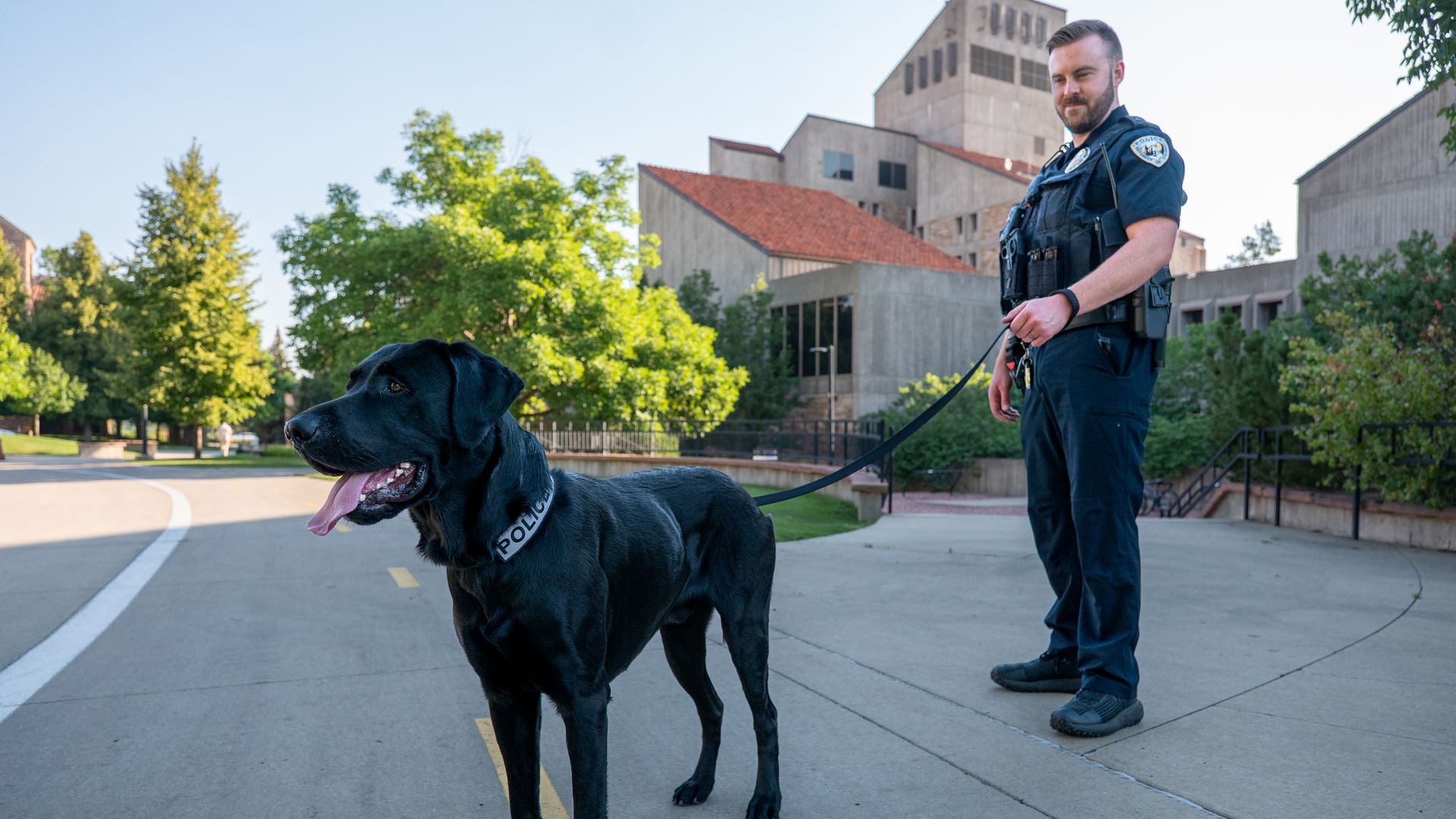 Police officer stands on a sidewalk holding a leash attached to a black police dog with its tongue out, trees and buildings in the background on a sunny day.
