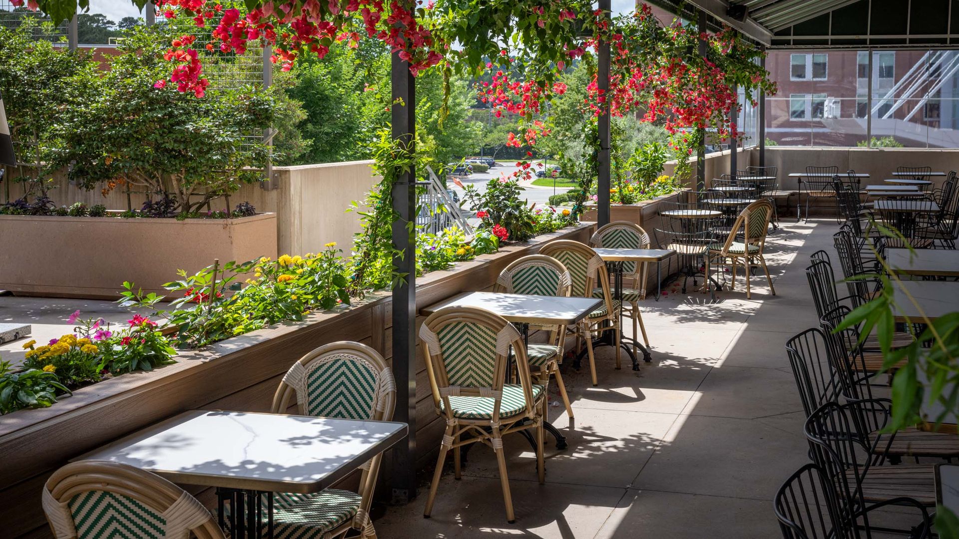 Sunlit outdoor cafe patio with pink bougainvillea hanging from a metal trellis, green plants in planters, and numerous chairs and tables; city buildings visible in the background.