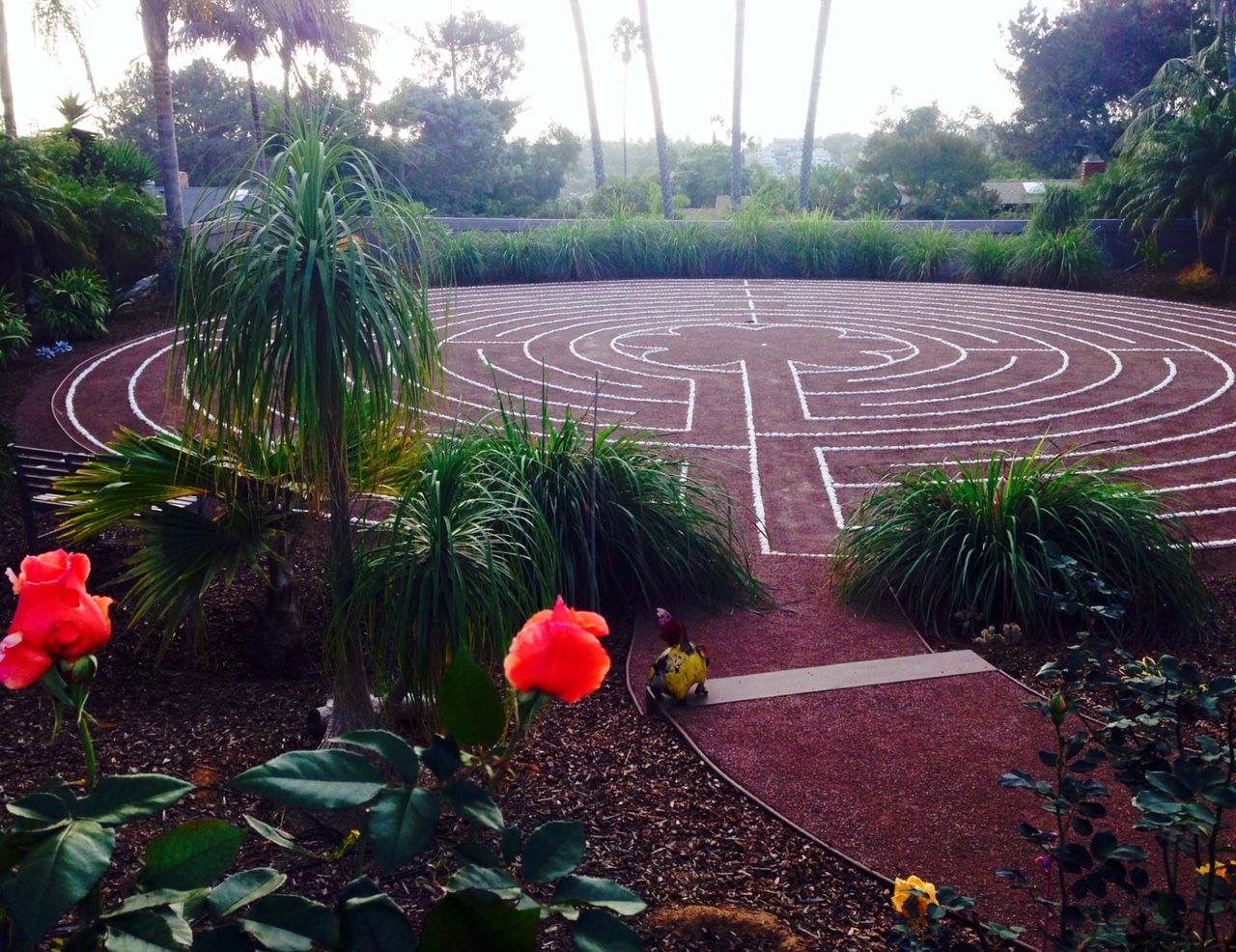 A maze in someone's backyard that replaced a green lawn -- installed to save water in drought-plagued California