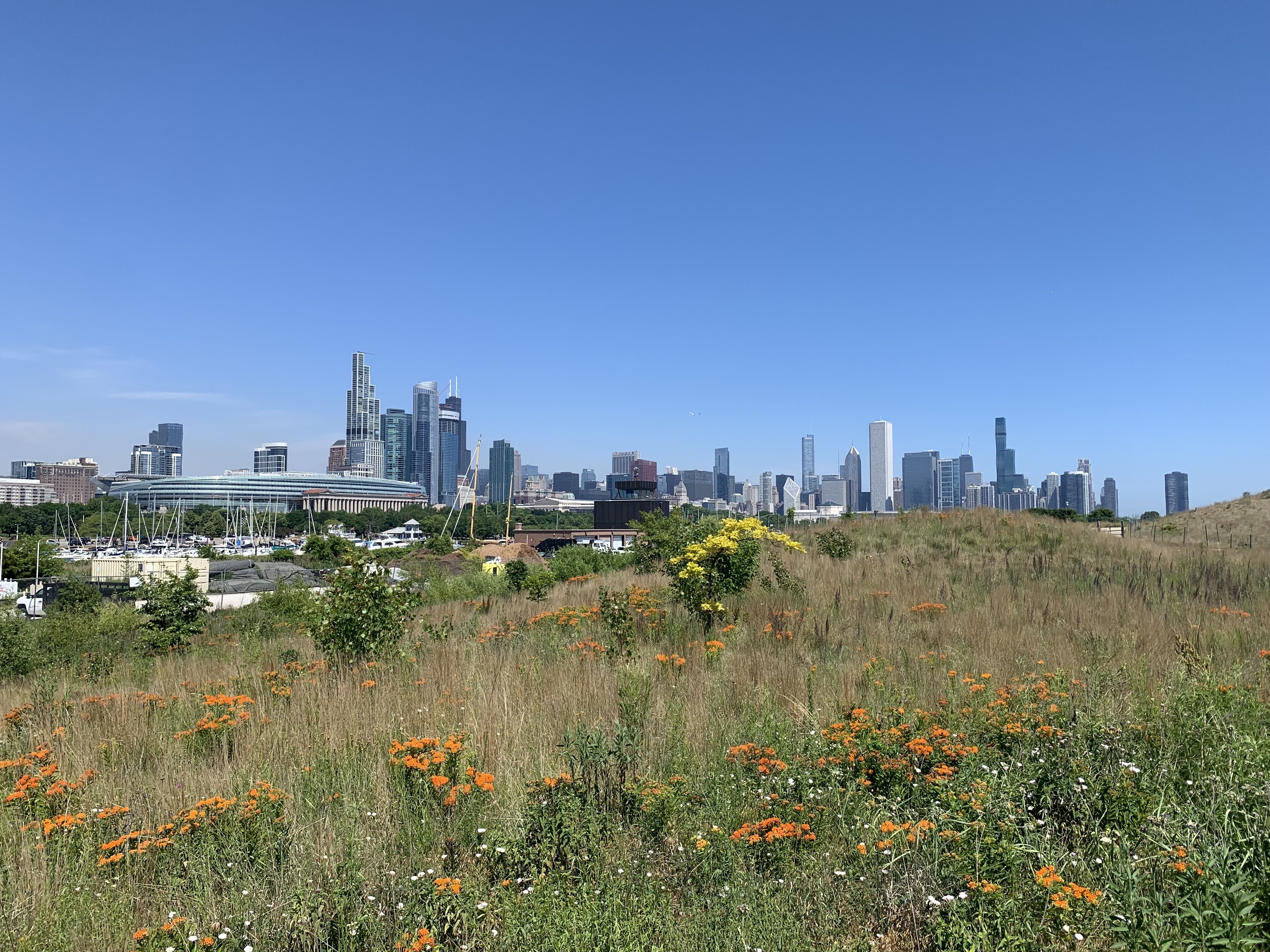 Photo of prairie with skyline in background 