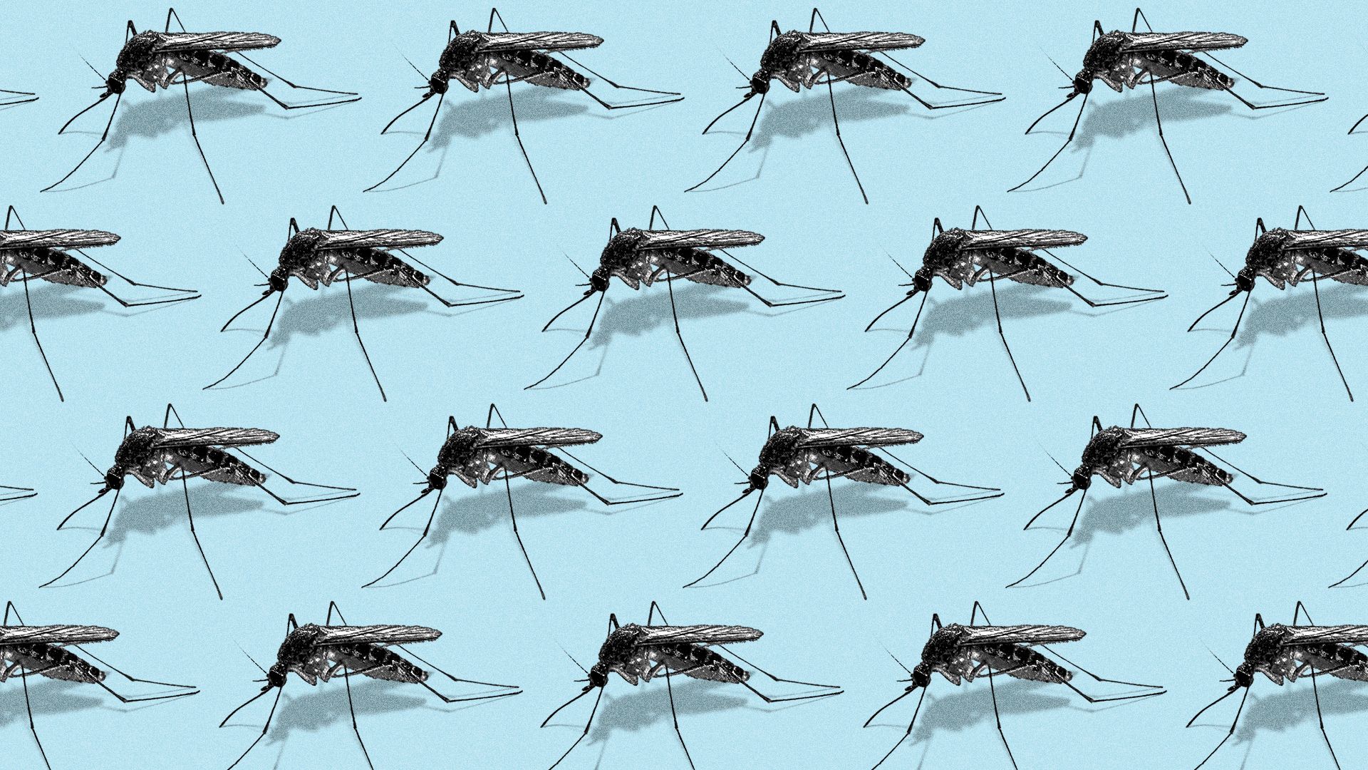 Illustration of a repeating pattern of mosquitos.