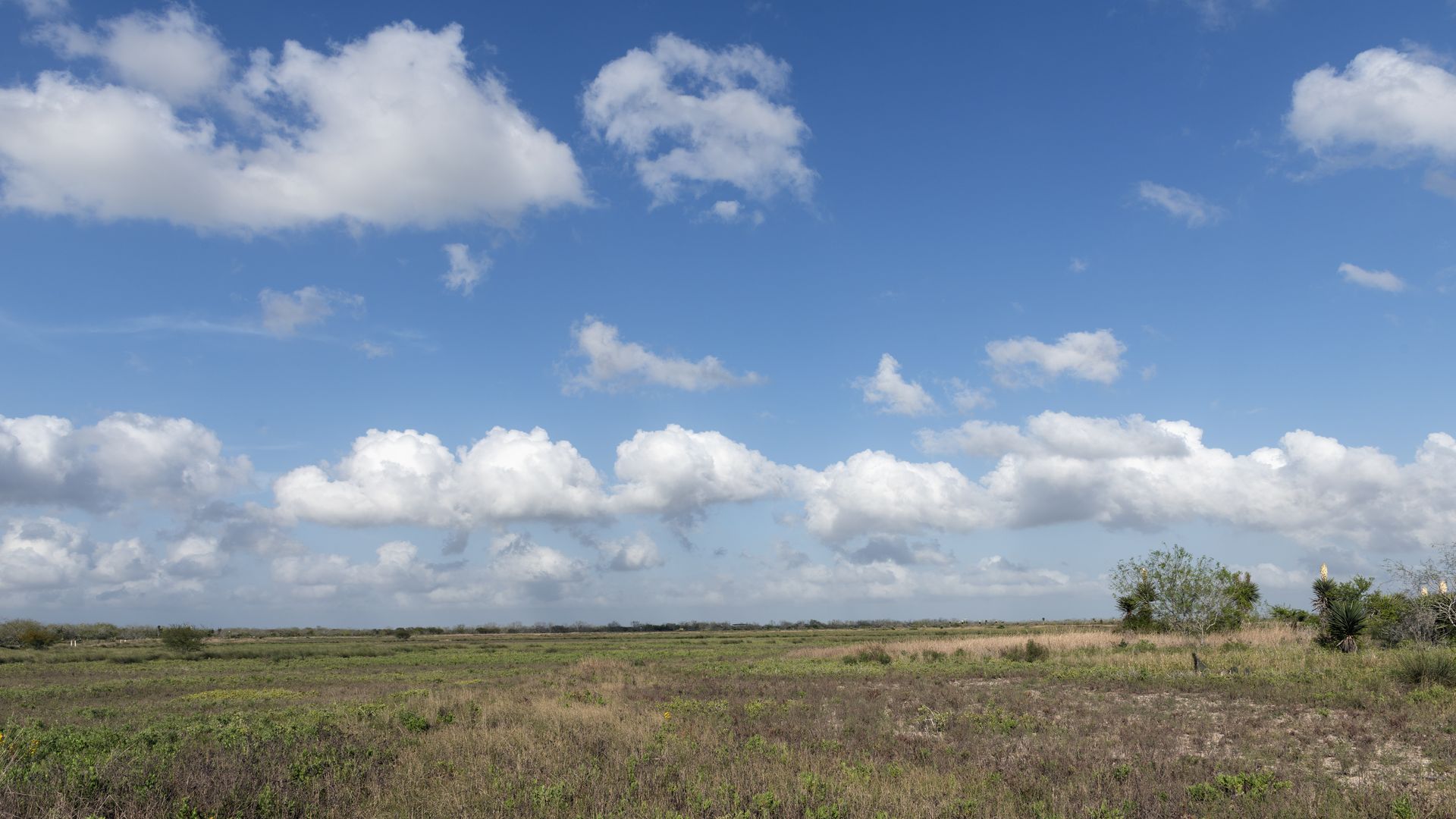 View of the Palo Alto Battlefield National Historical Park in Brownsville, Texas, showing a bright blue sky with white clouds and a green-brown desert terrain