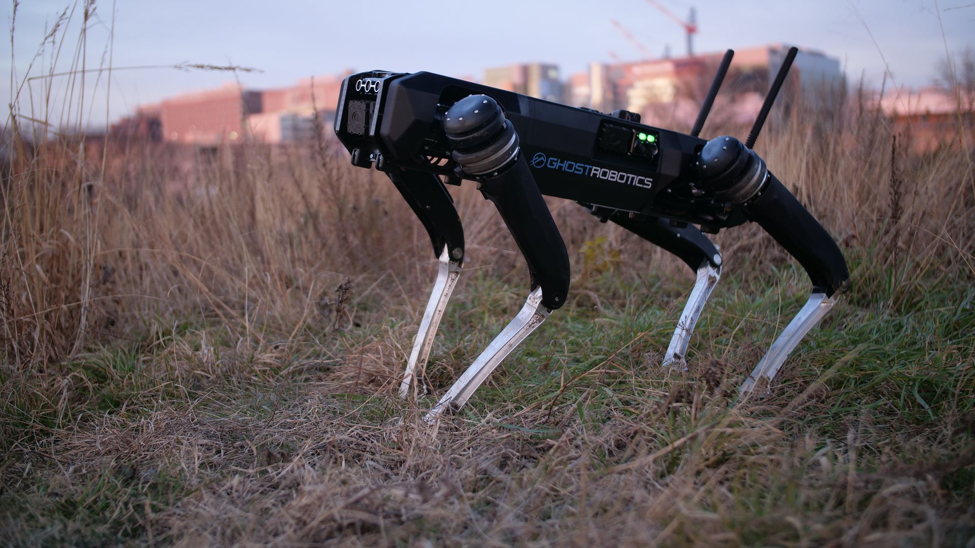 A black robotic dog stands on grass and dirt
