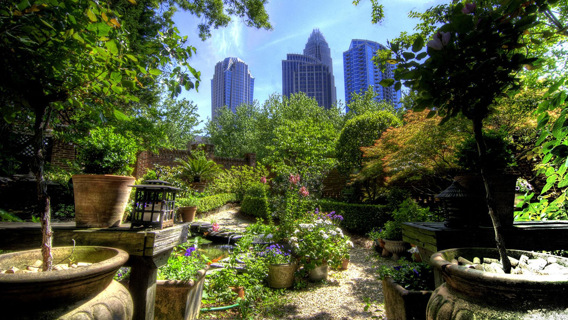 Charlotte-skyline-and-garden
