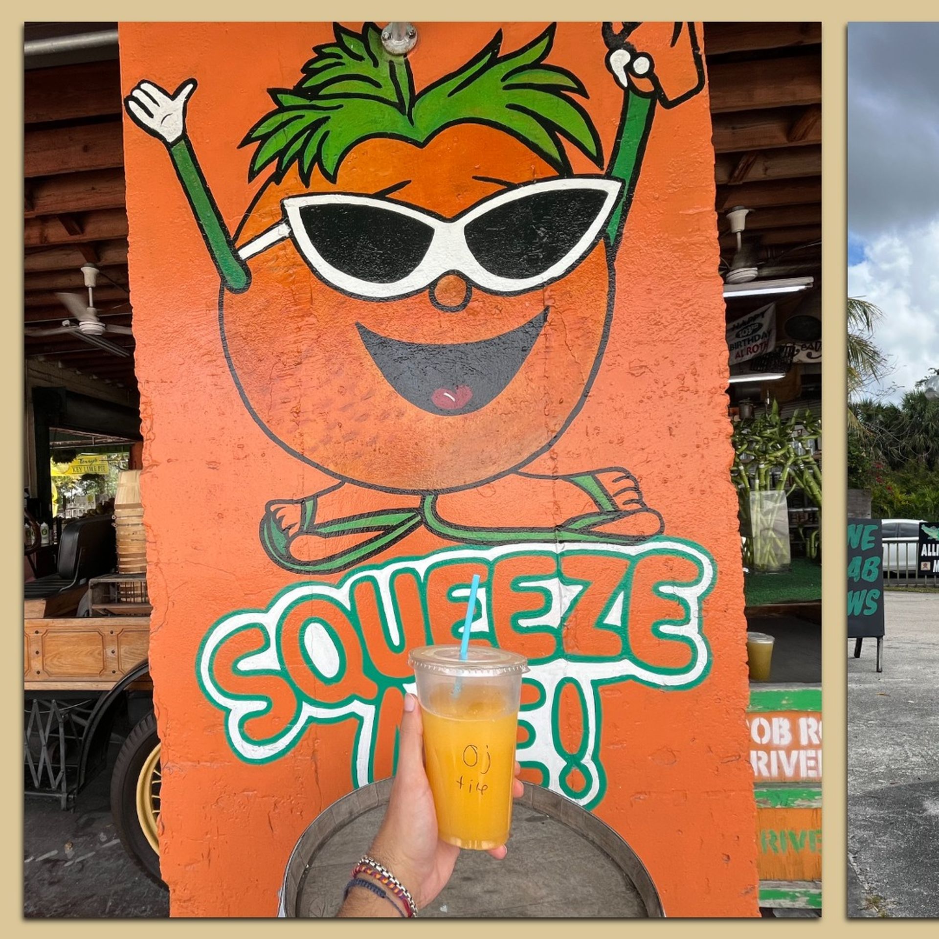 Why I love Bob Roth's New River Groves: Fresh oranges, pies and