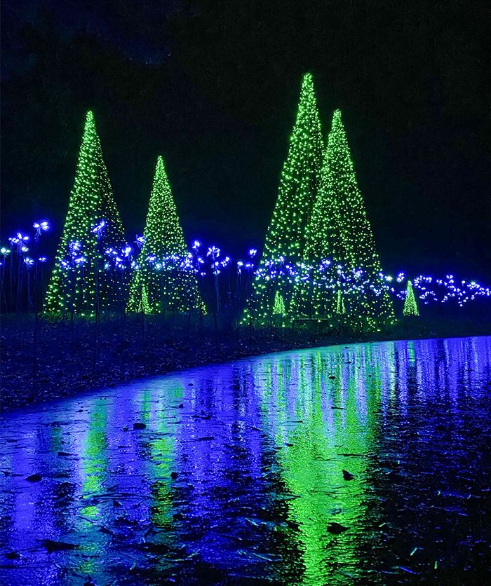 reflection of christmas lights at daniel stowe botanical garden charlotte