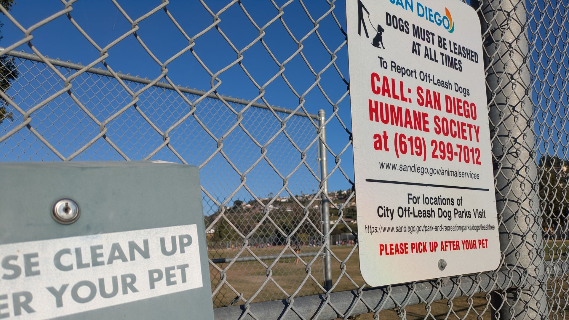 Chain-link fence with signs about dog rules in San Diego. One sign says dogs must be leashed, call Humane Society for off-leash dogs, and pick up after pets. Clear blue sky background.