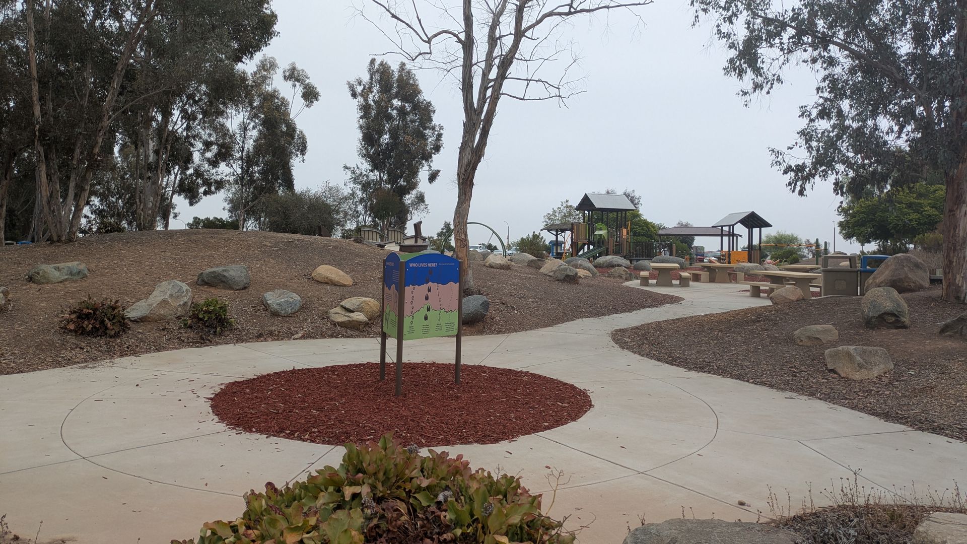 Wide park scene with a tall bare tree at center, surrounded by leafy trees. Right side shows a playground; foreground has a circular concrete path with red mulch and large rocks.
