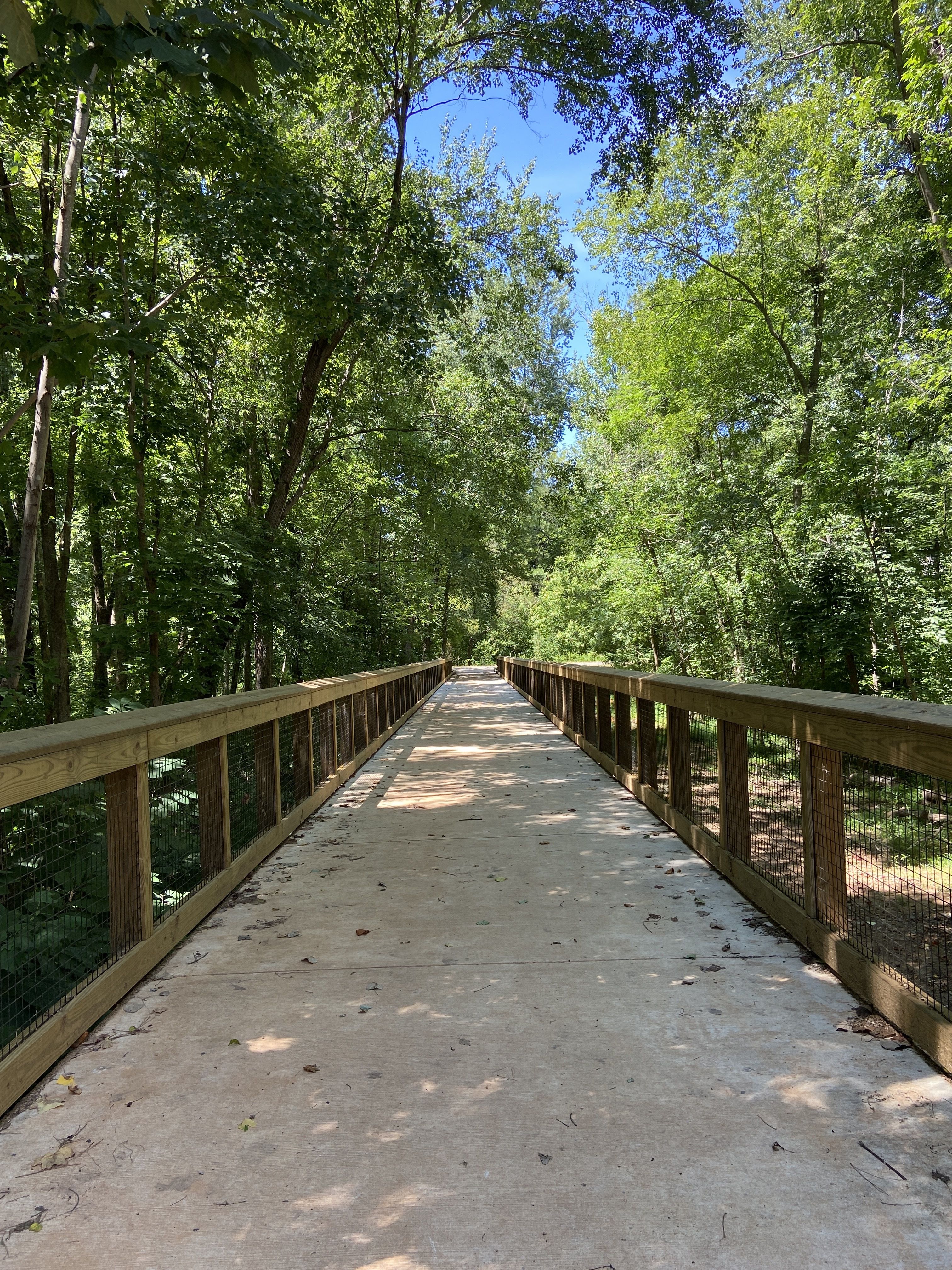 A boardwalk on the greenway, surrounded by lush green trees. 