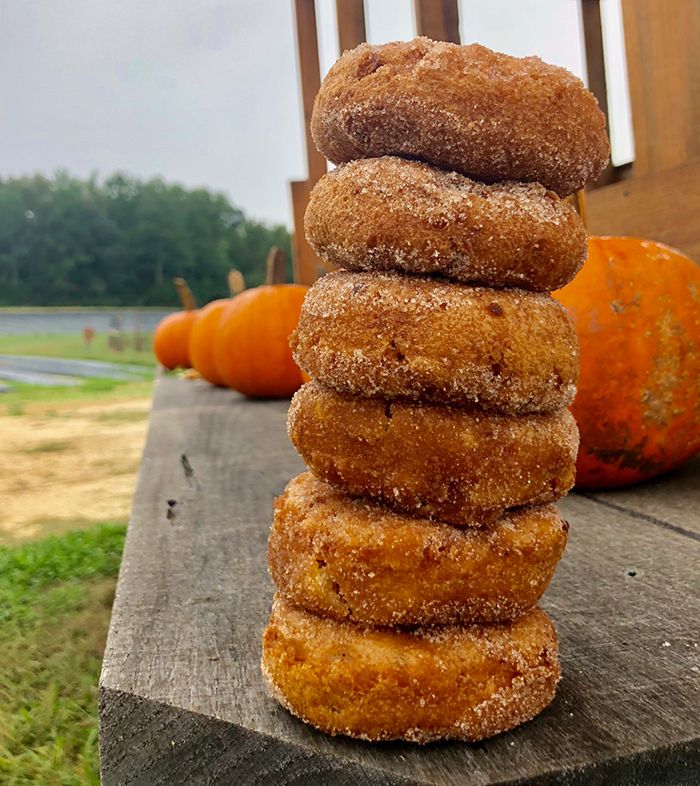 donuts-at-hall-family-farm-charlotte