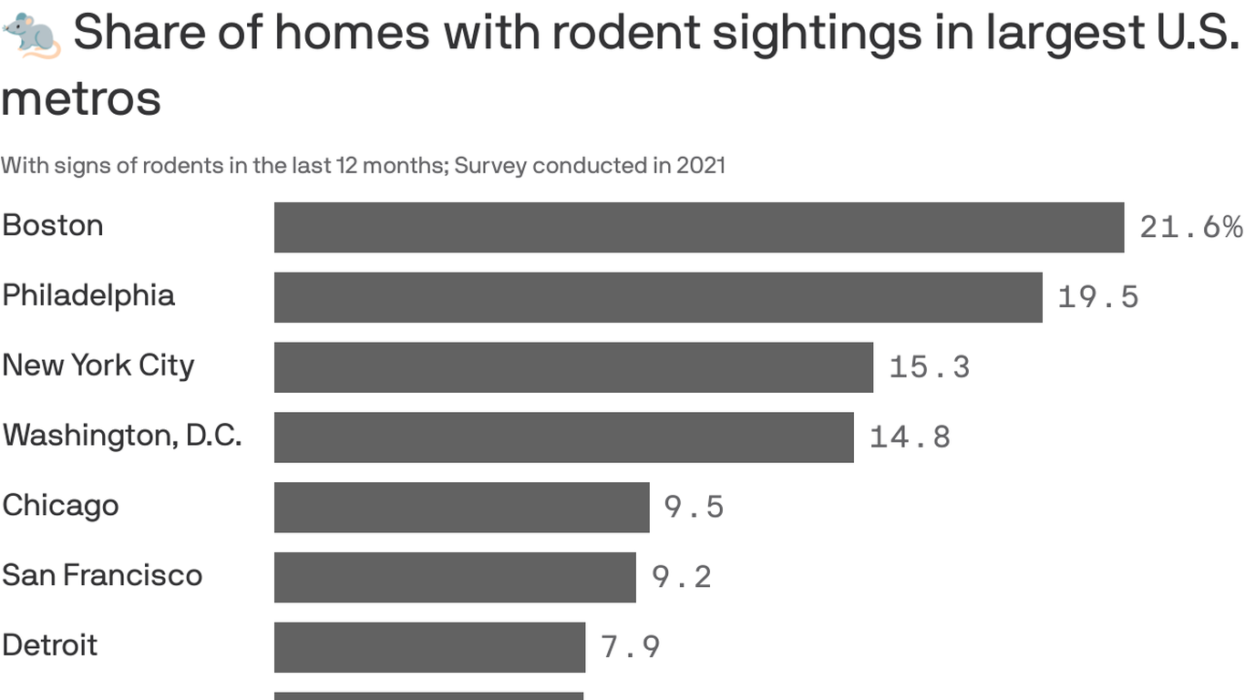 Boston is the rattiest city in the nation Axios Boston