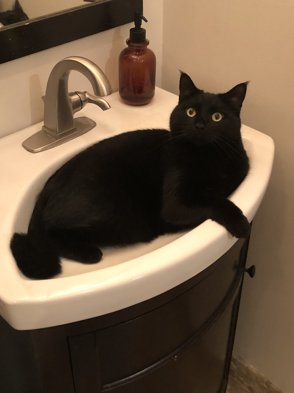 A black cat sits in a bathroom sink.