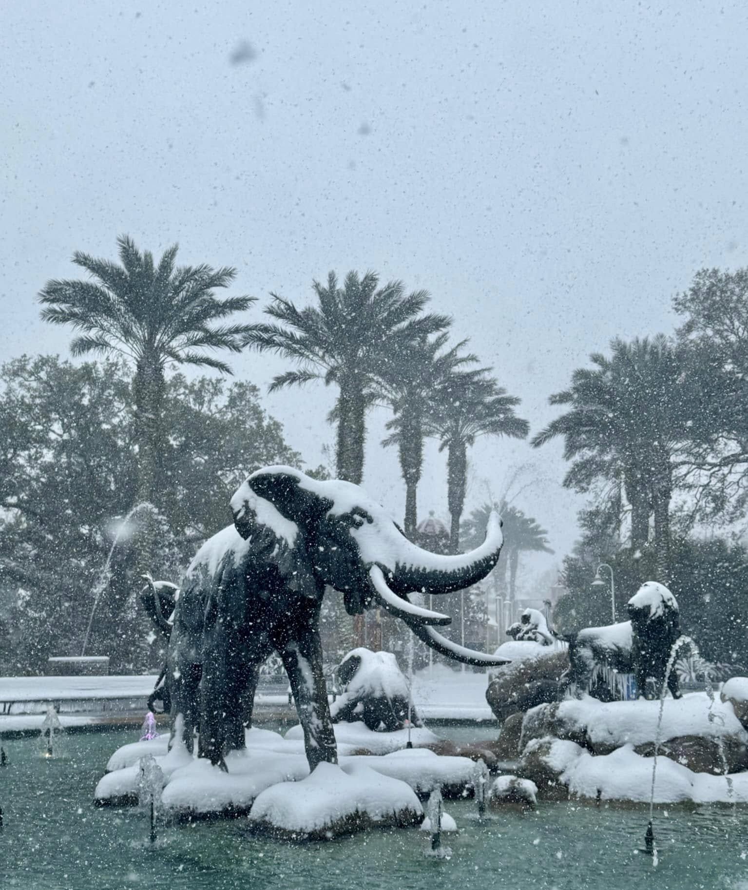 Photo shows elephant statues at Audubon Zoo covered in snow.